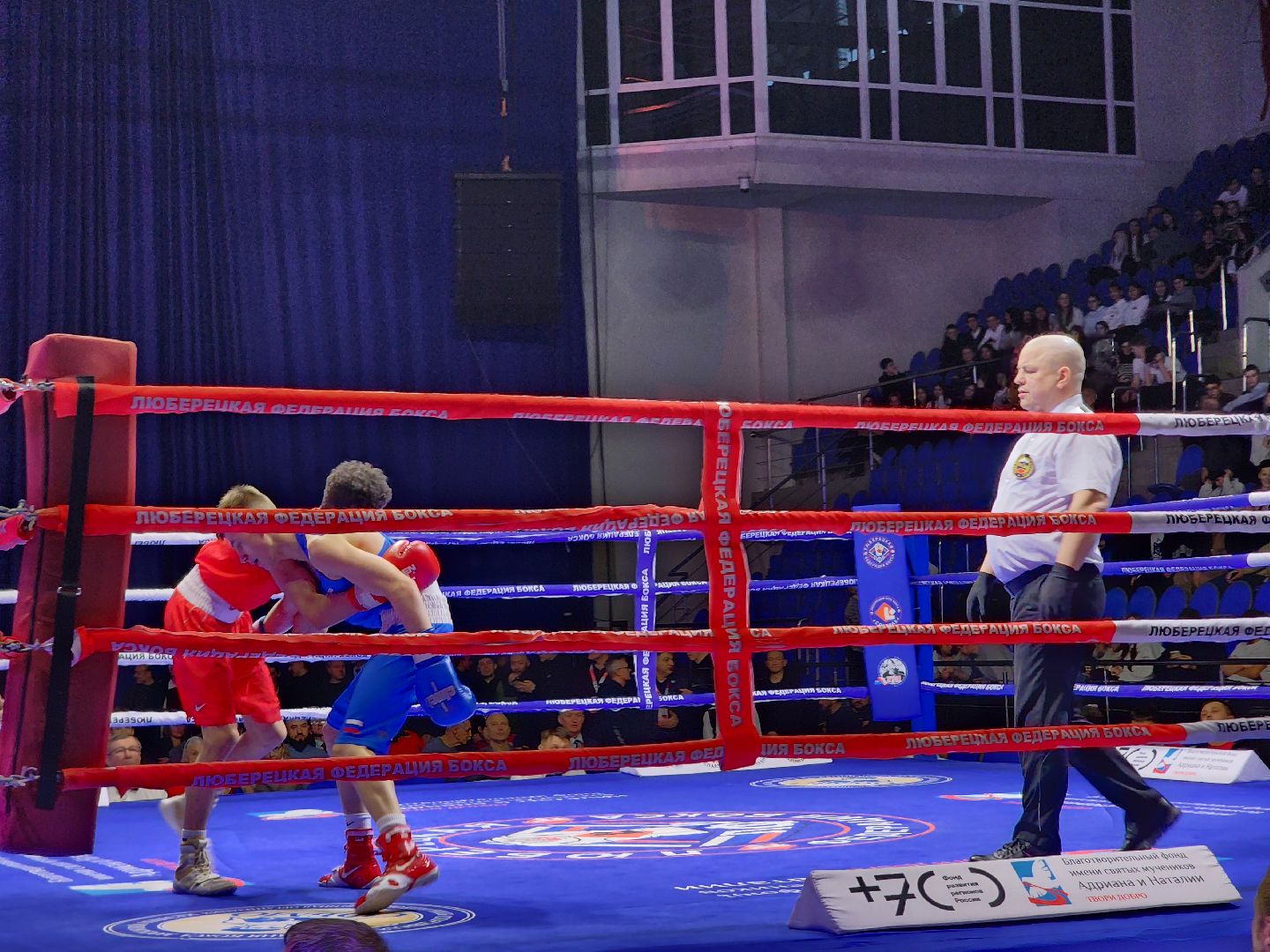 Бокс, соревнования, Болельщики, люберцы,