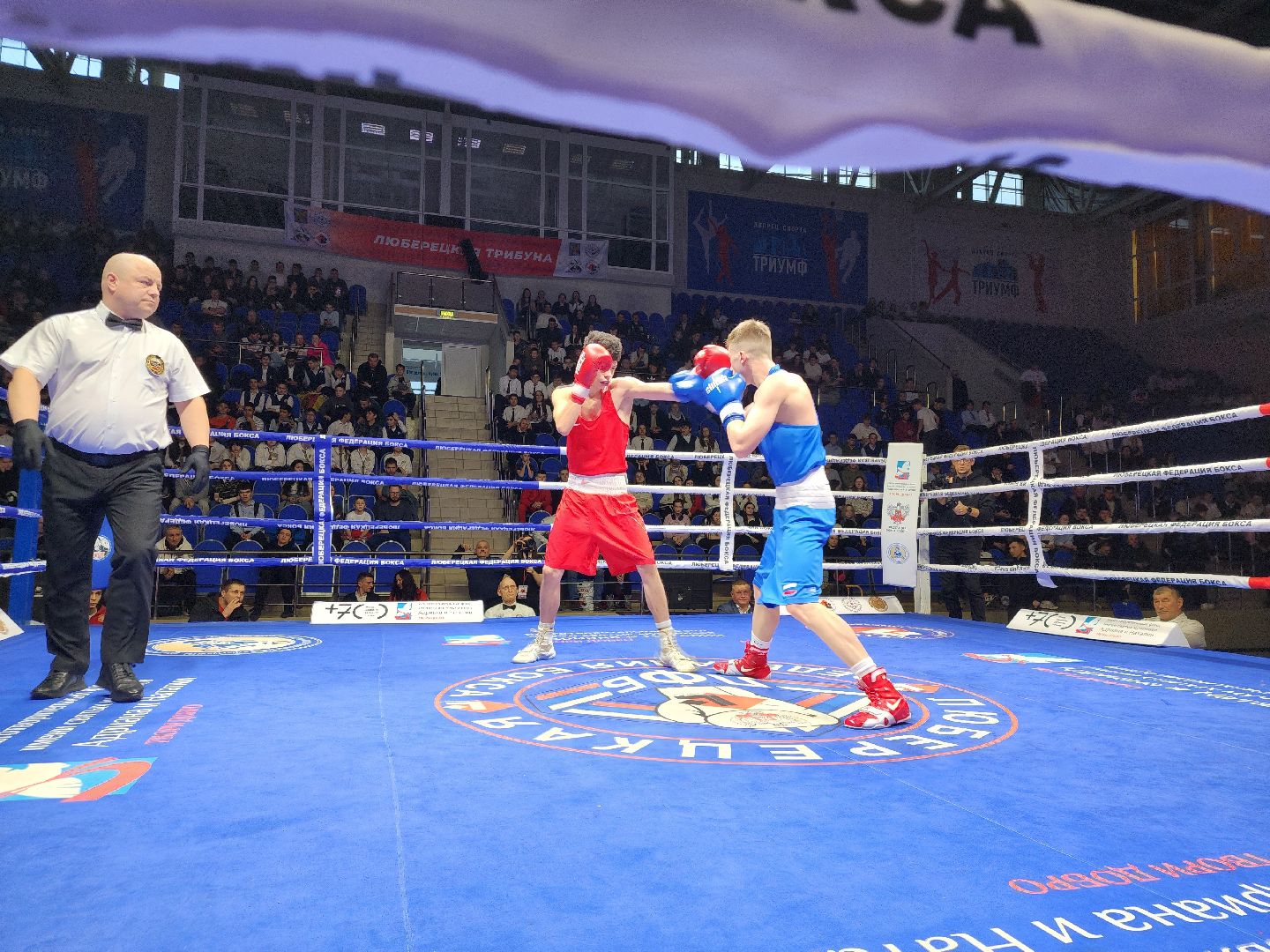 Бокс, соревнования, Болельщики, люберцы,