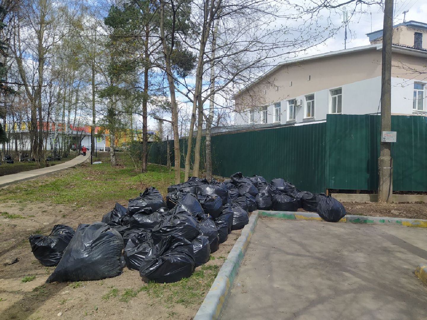 Дедовск, уборка,скейт парк, субботник,