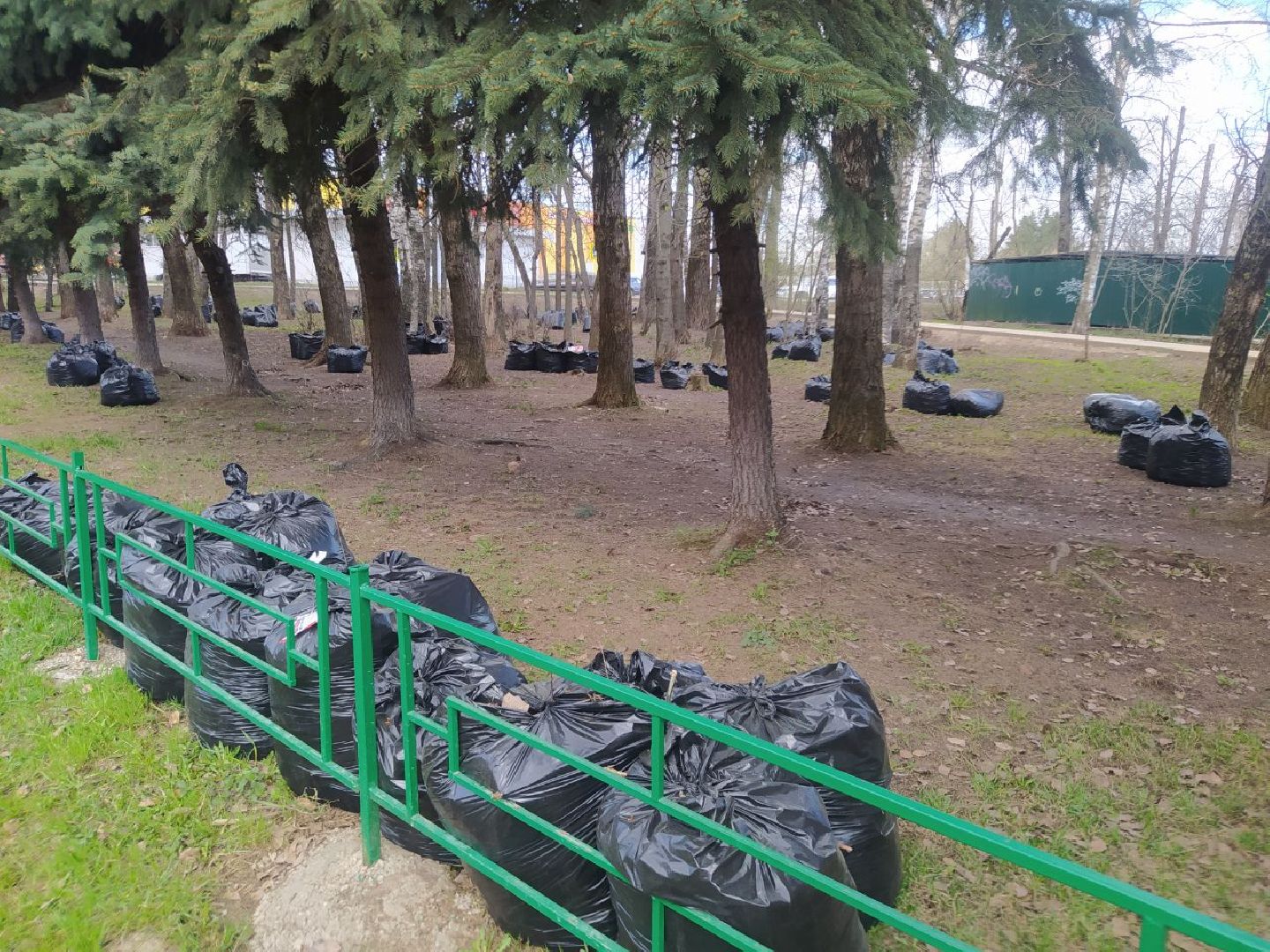 Дедовск, уборка,скейт парк, субботник,