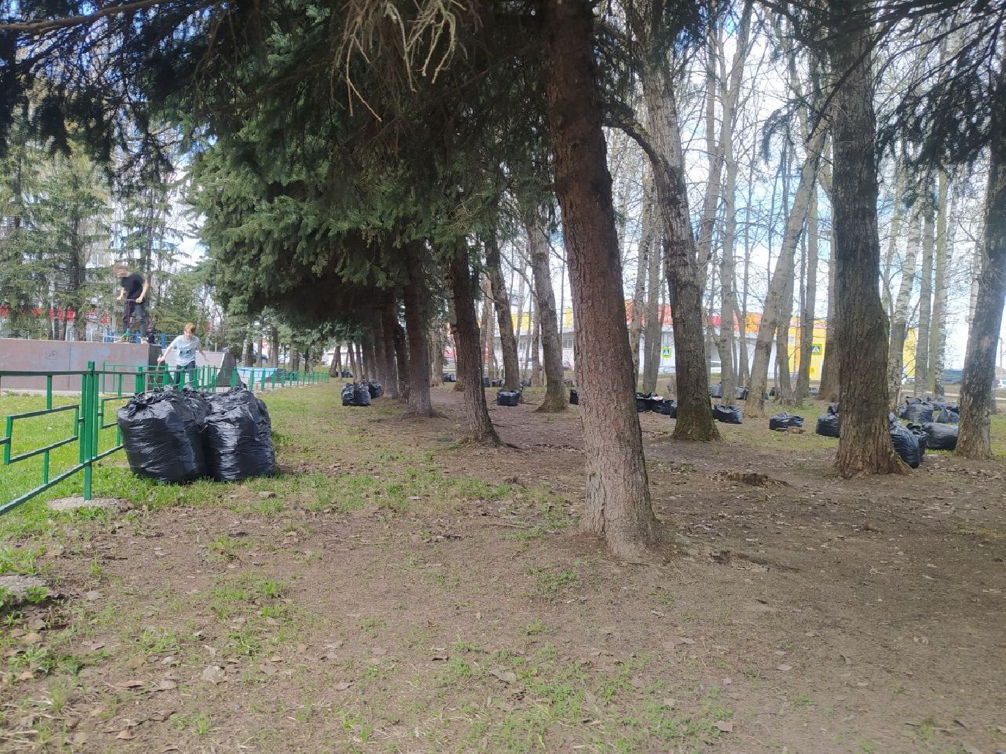 Дедовск, уборка,скейт парк, субботник,