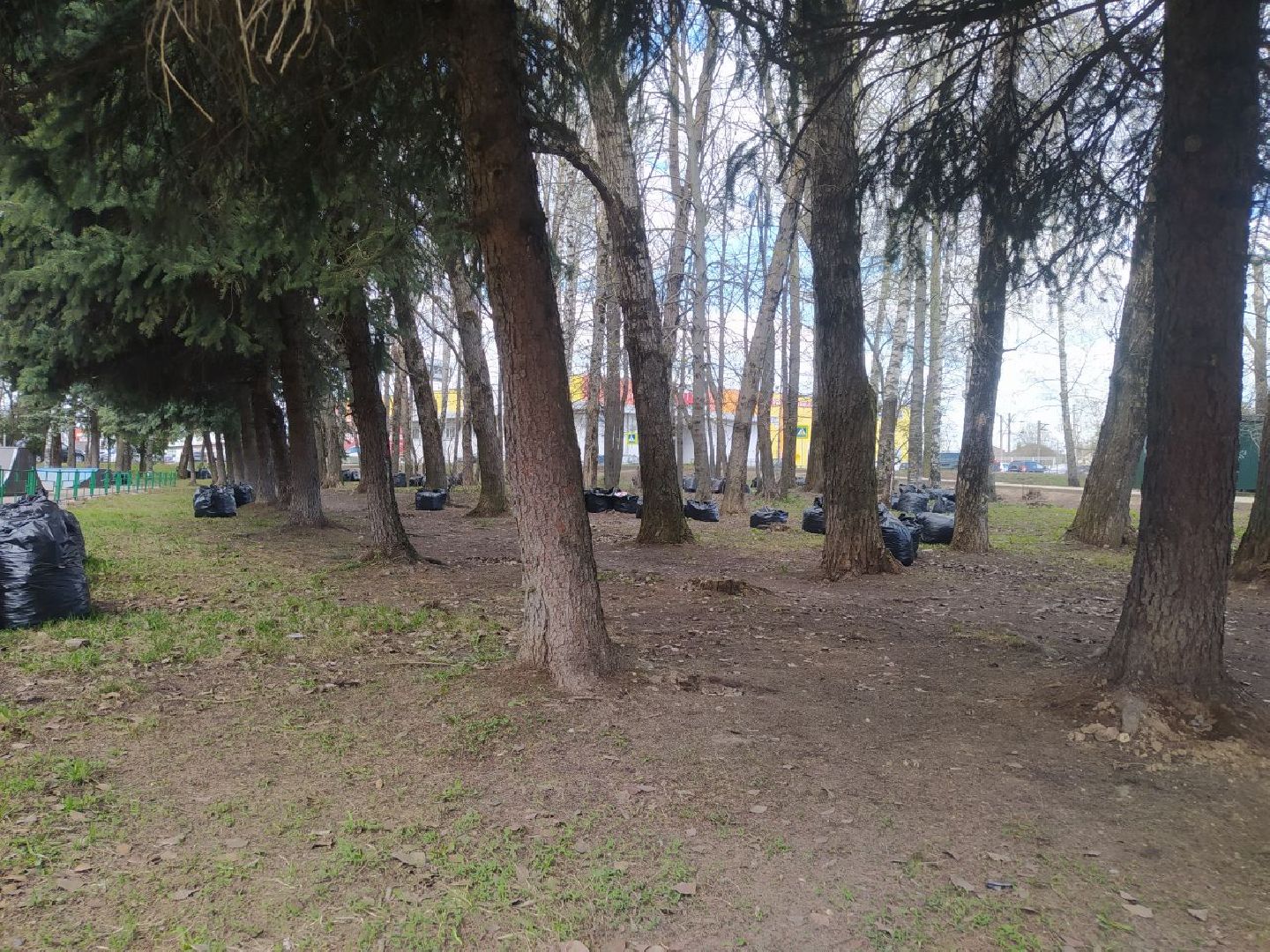 Дедовск, уборка,скейт парк, субботник,