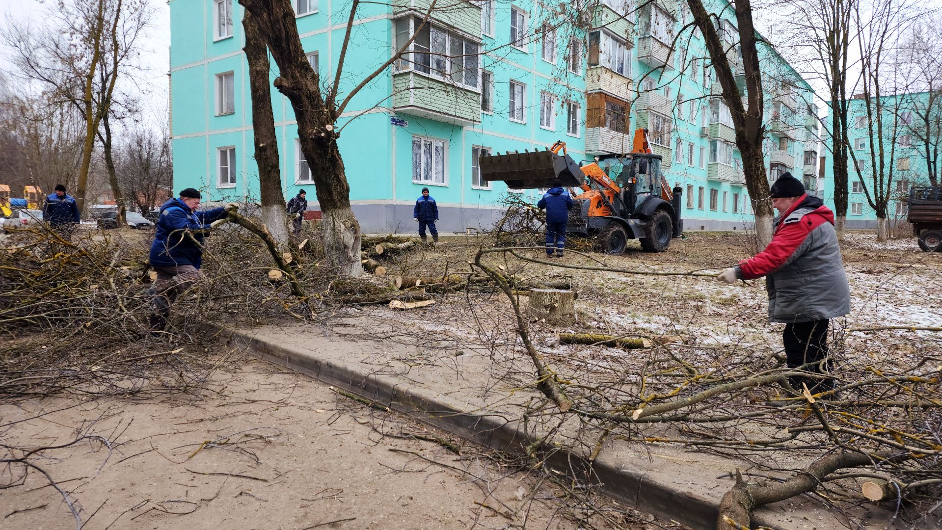 волоколамск, добродел, вырубка деревьев,