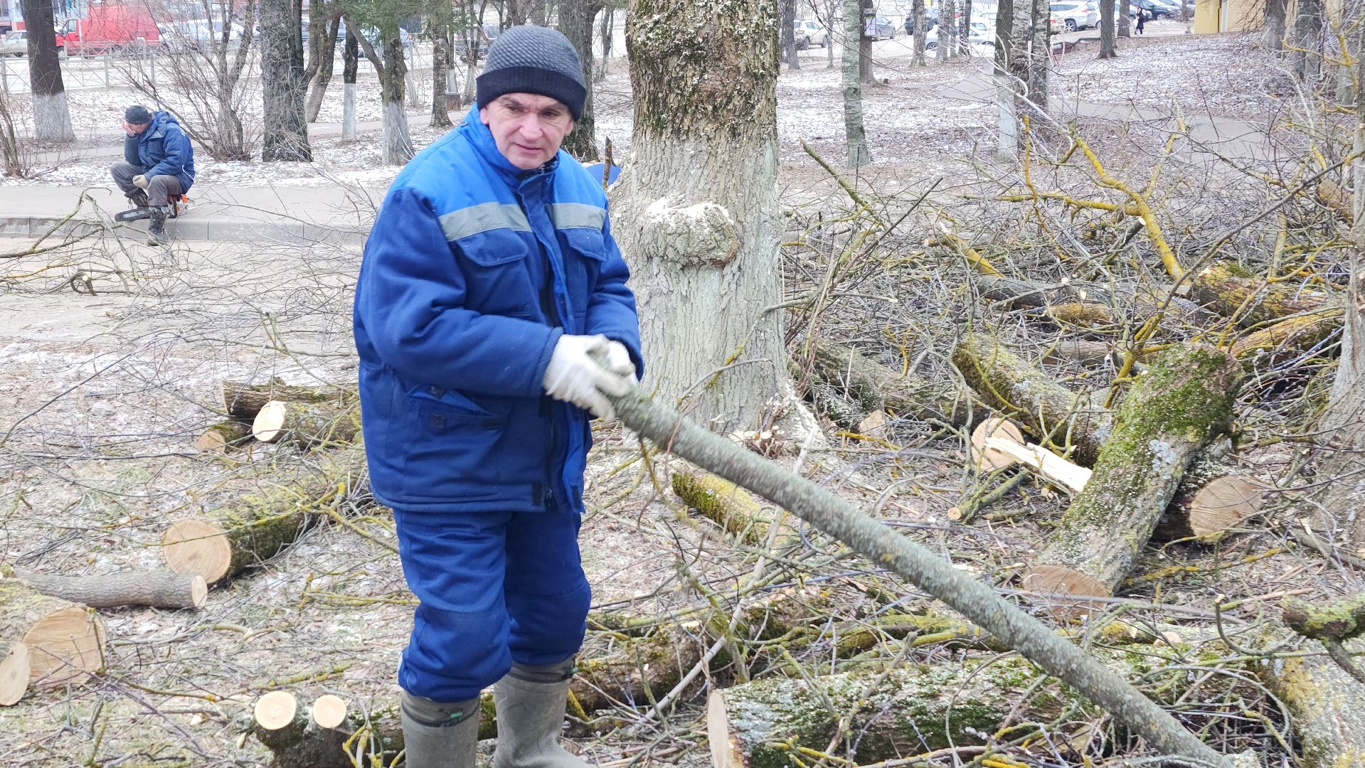 волоколамск, добродел, вырубка деревьев,