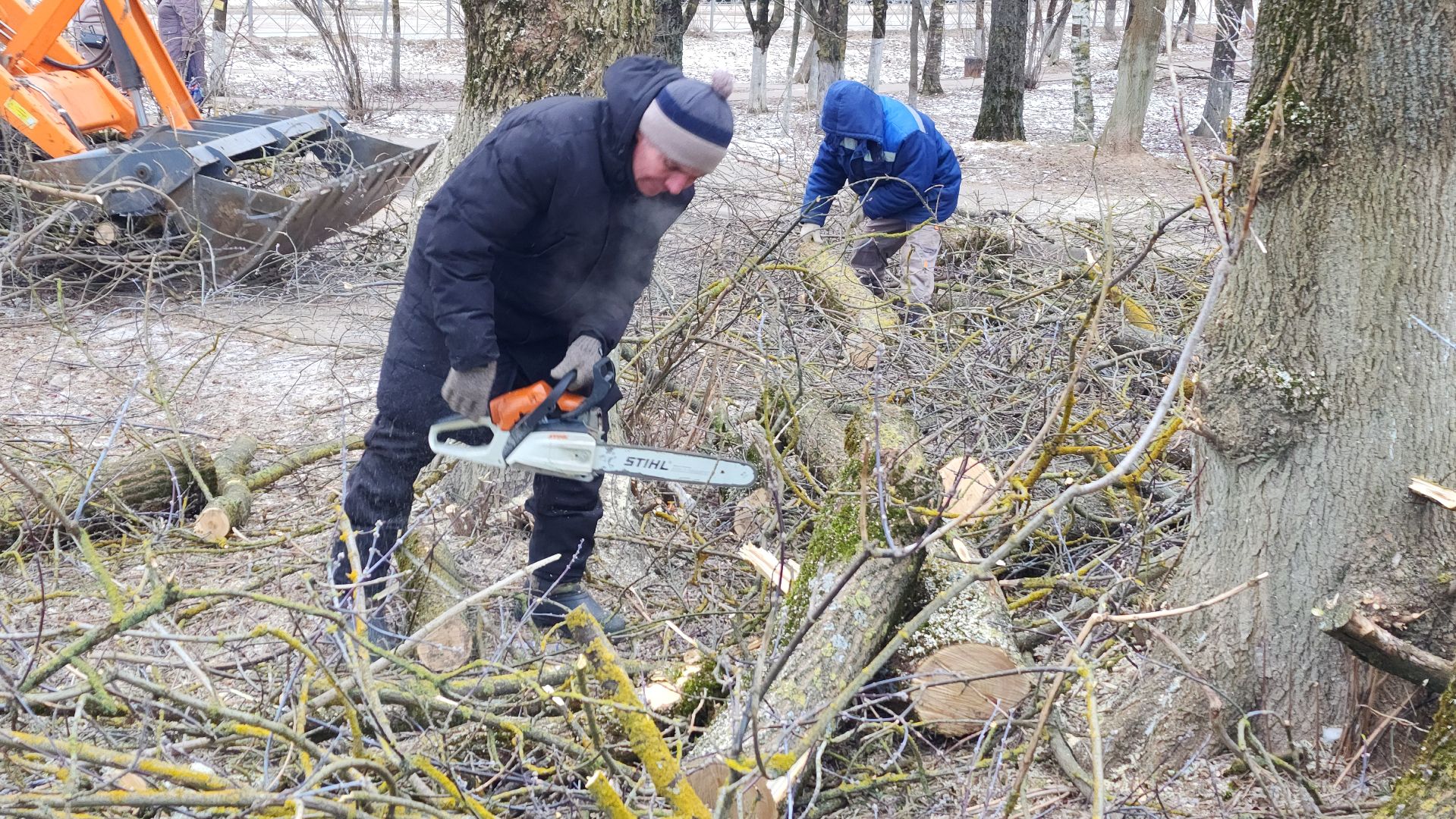 волоколамск, добродел, вырубка деревьев,