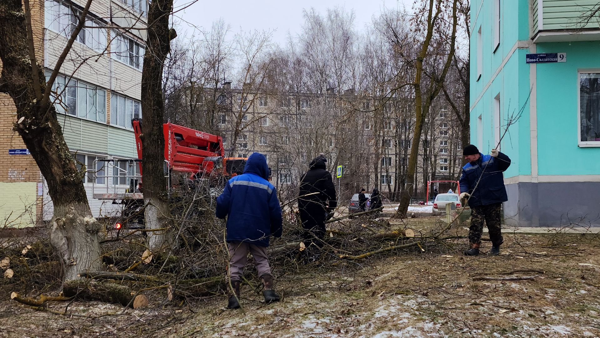 волоколамск, добродел, вырубка деревьев,