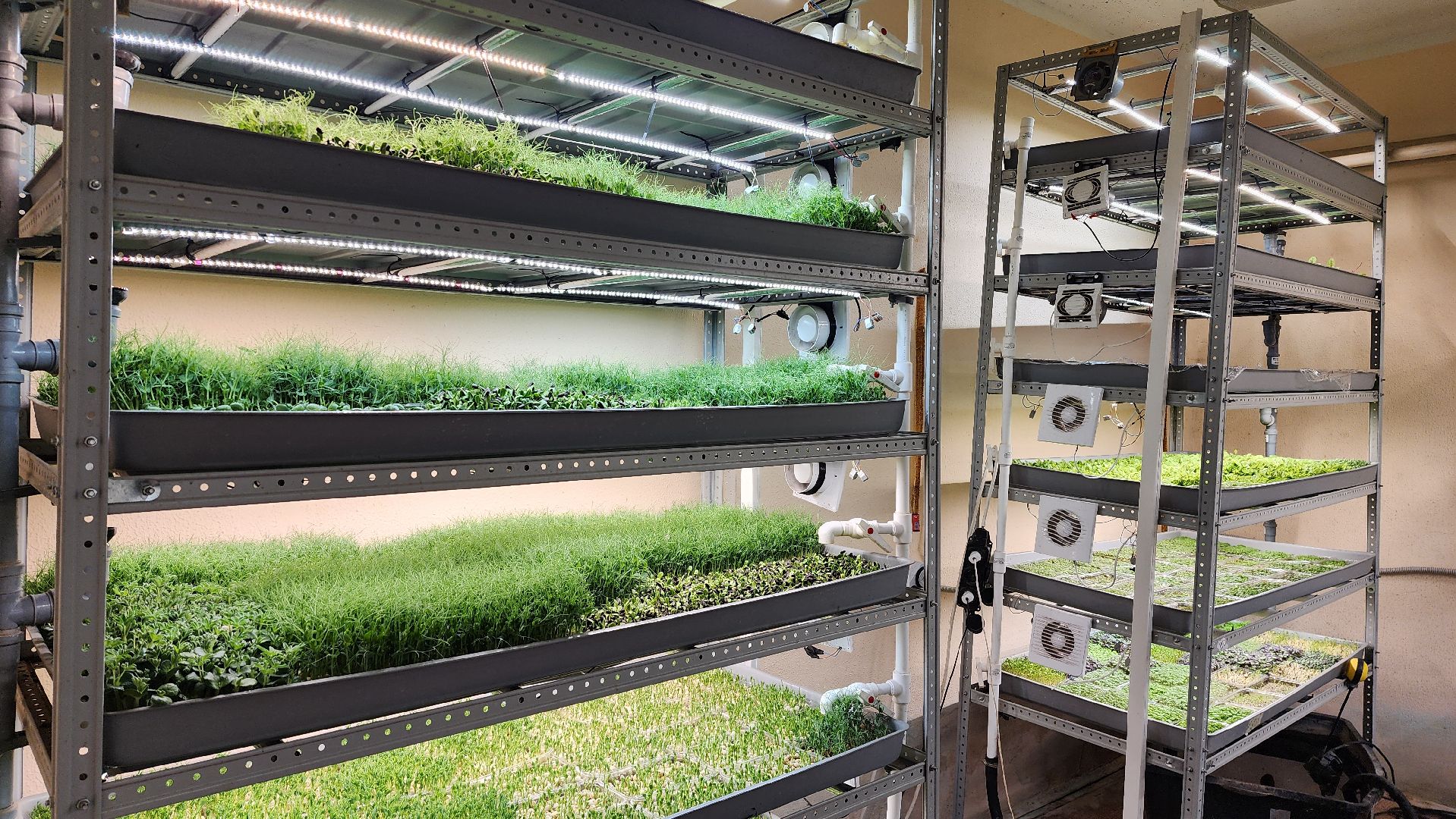 истра, фермер, экономика, поддержка бизнеса, вертикалки,