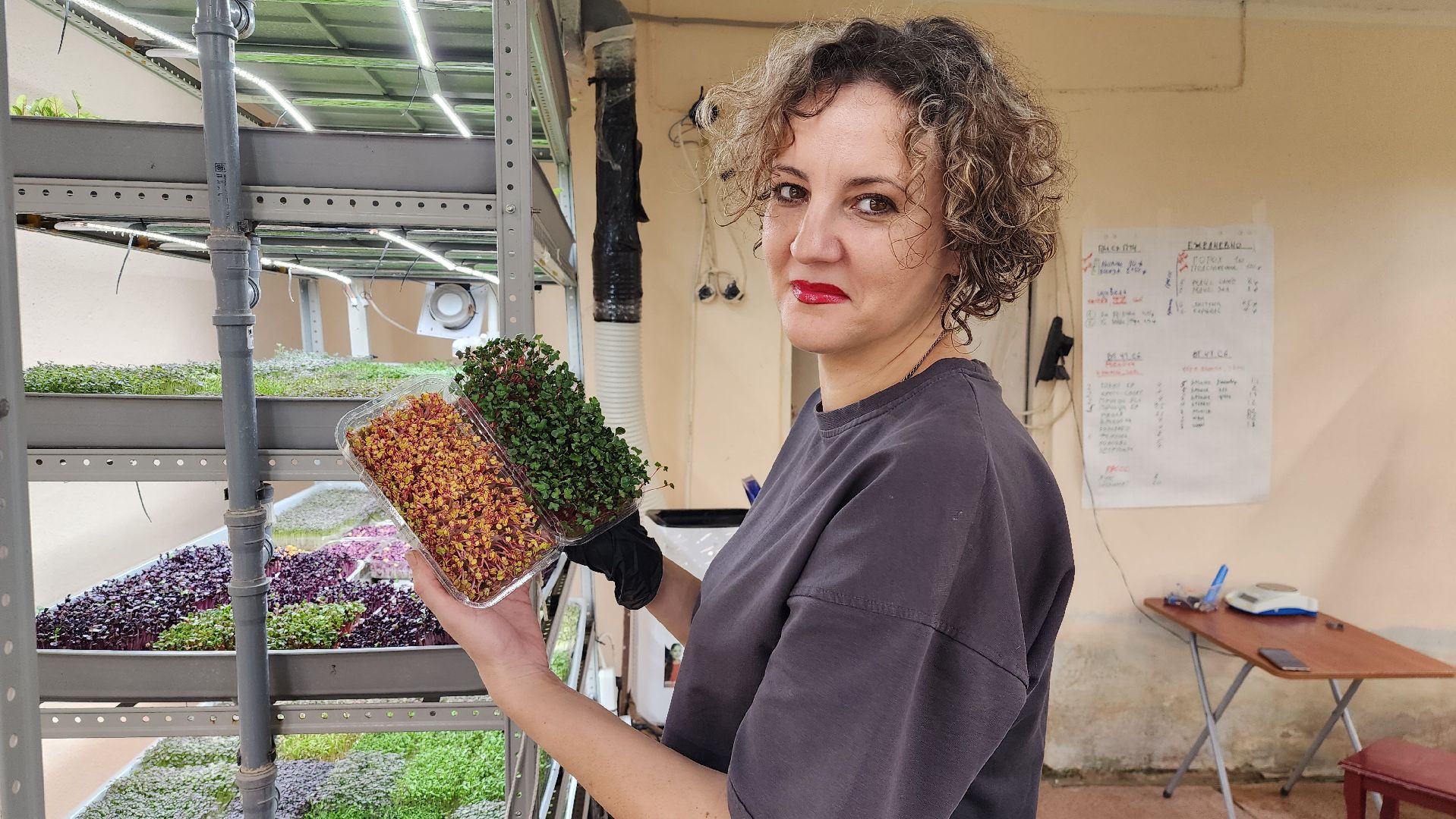 истра, фермер, экономика, поддержка бизнеса, вертикалки,