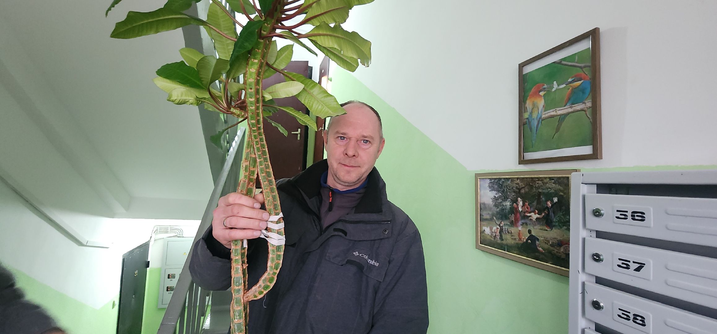 вертикалки, благоустройсво, люди звенигорода,Общественники Подмосковья,