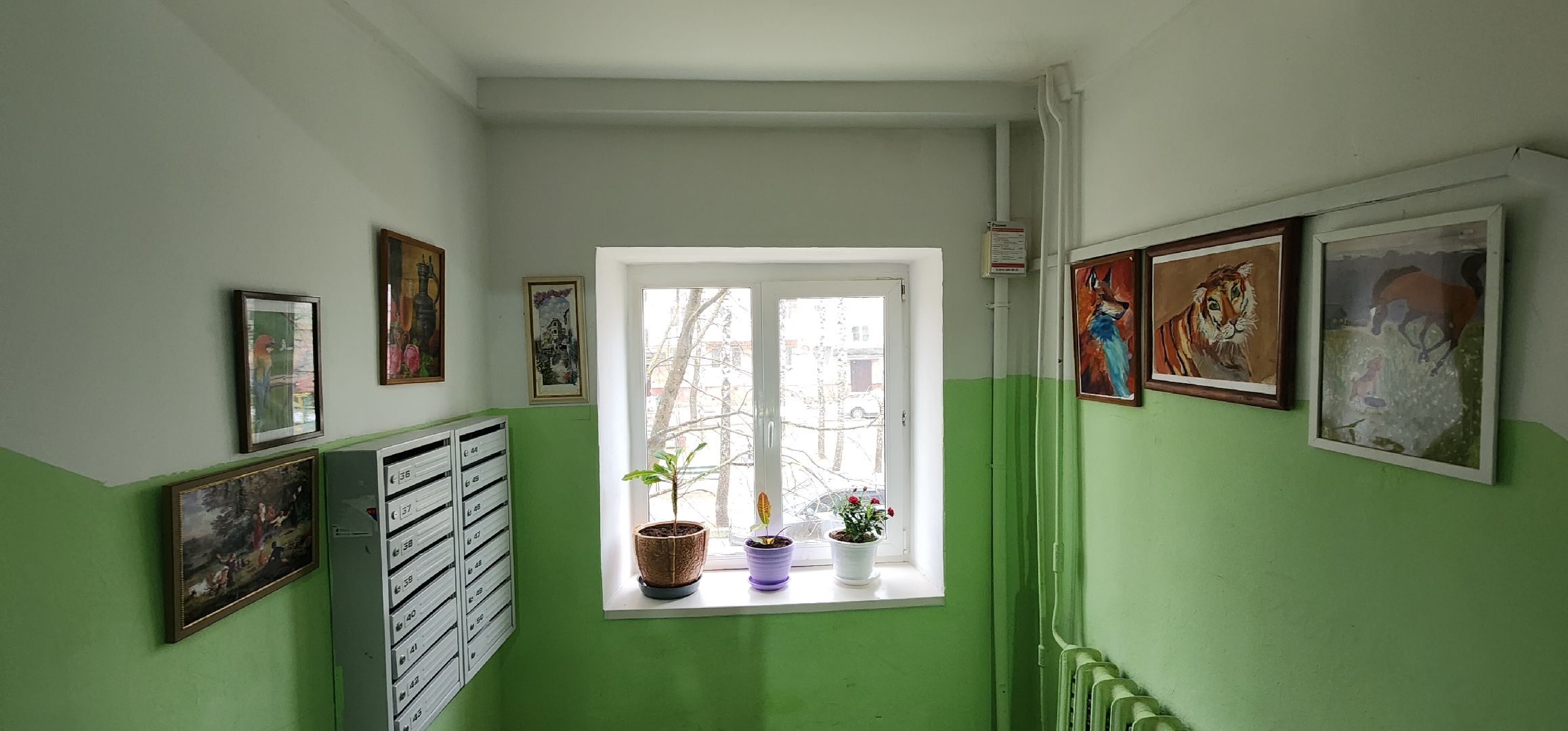 вертикалки, благоустройсво, люди звенигорода,Общественники Подмосковья,