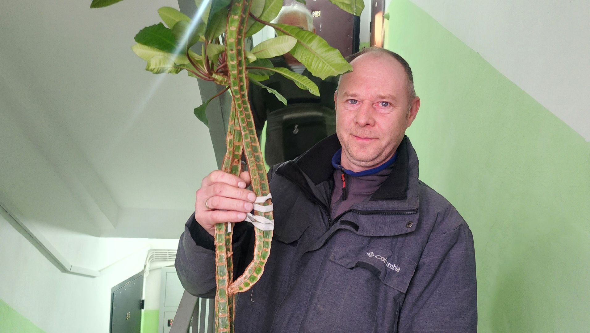 вертикалки, благоустройсво, люди звенигорода,Общественники Подмосковья,