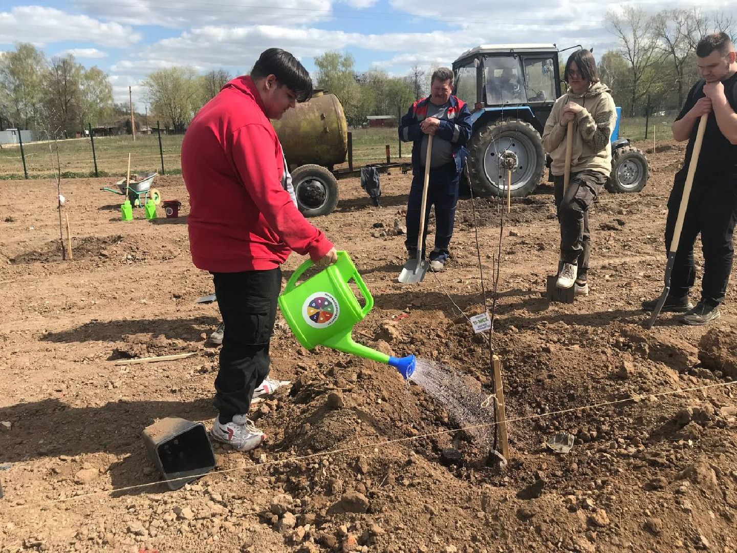 яблони, образование