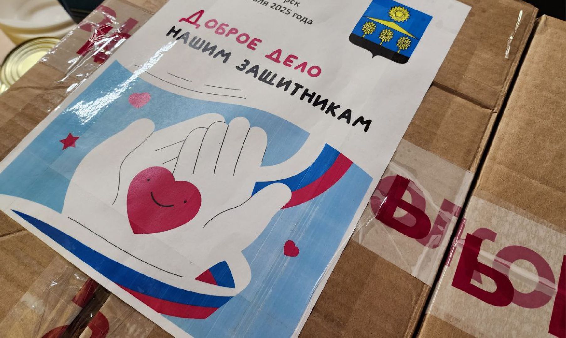 солнечногорск, волонтеры подмосковья, благотворительная акция, жители, вертикалки,