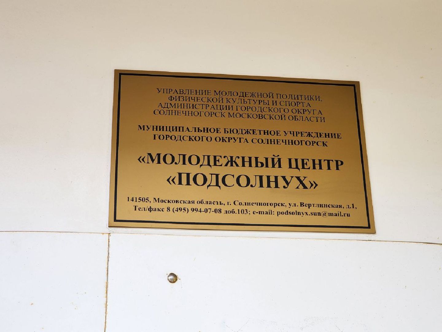 солнечногорск, волонтеры подмосковья, благотворительная акция, жители, вертикалки,