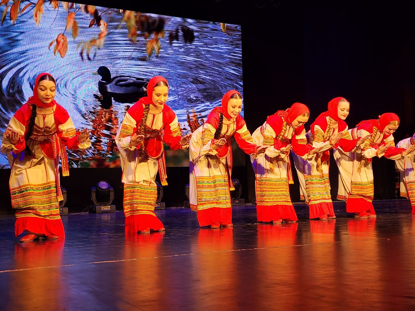 вертикалки, луховицы, культура,