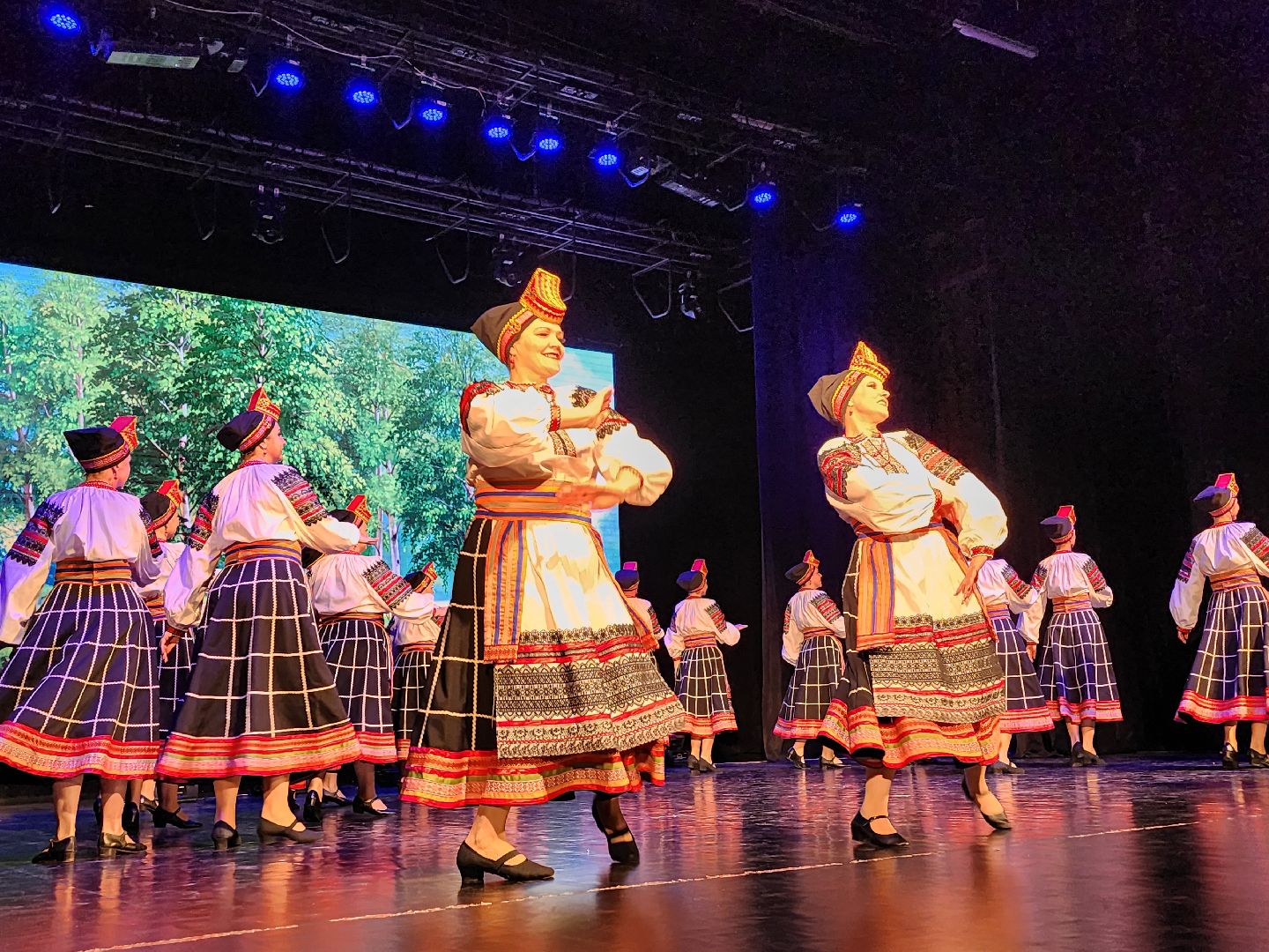 вертикалки, луховицы, культура,