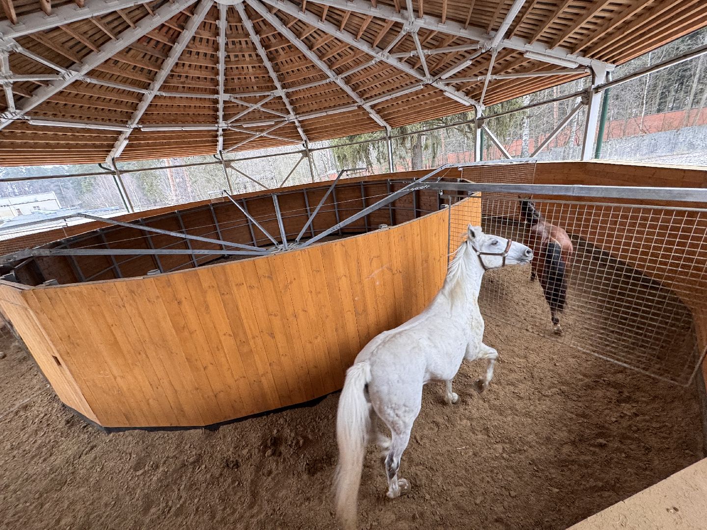 вертикалки, мкз 1, Московский конный завод 1, Одинцовский округ, Первые в стране,