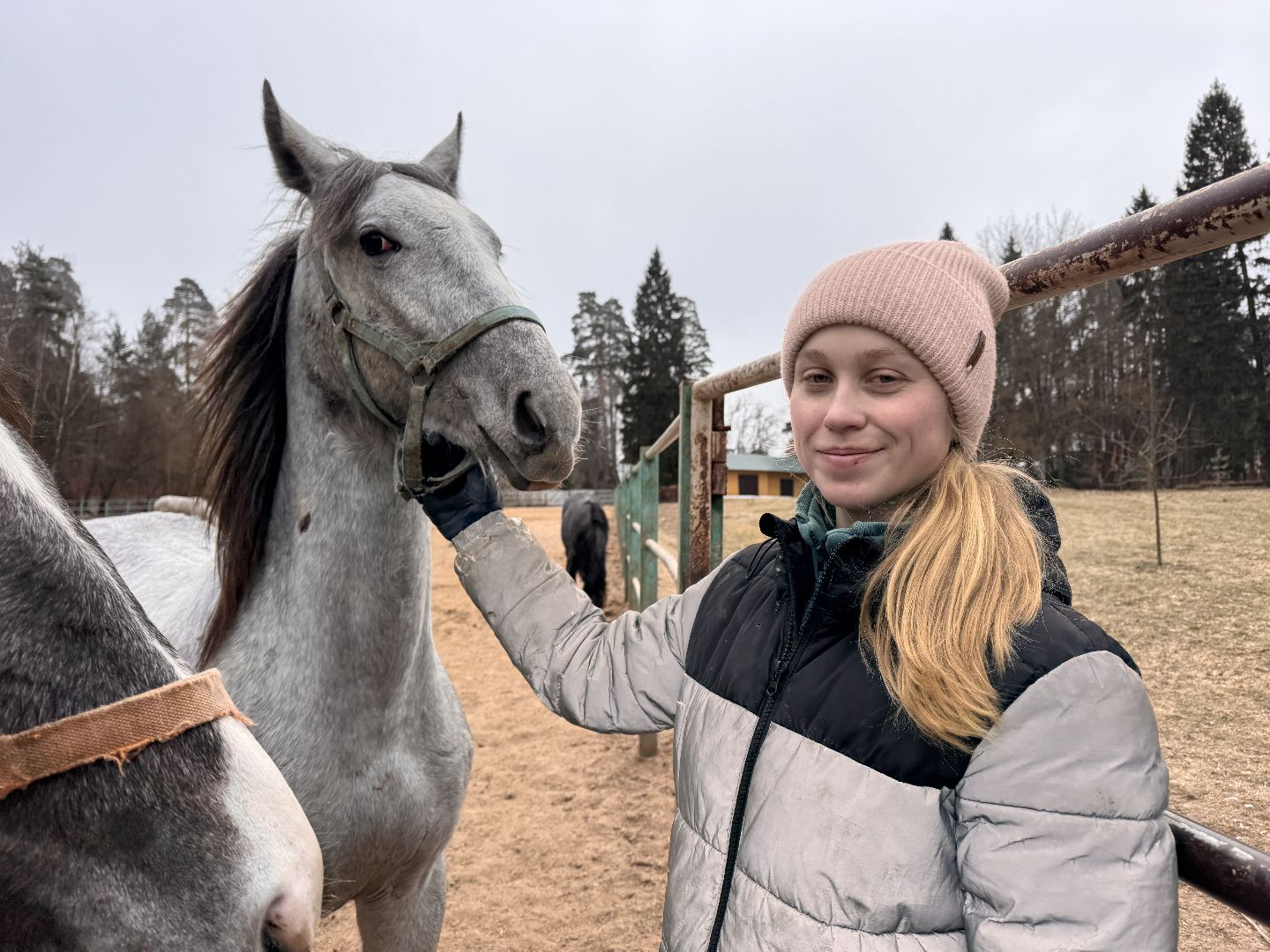 вертикалки, мкз 1, Московский конный завод 1, Одинцовский округ, Первые в стране,