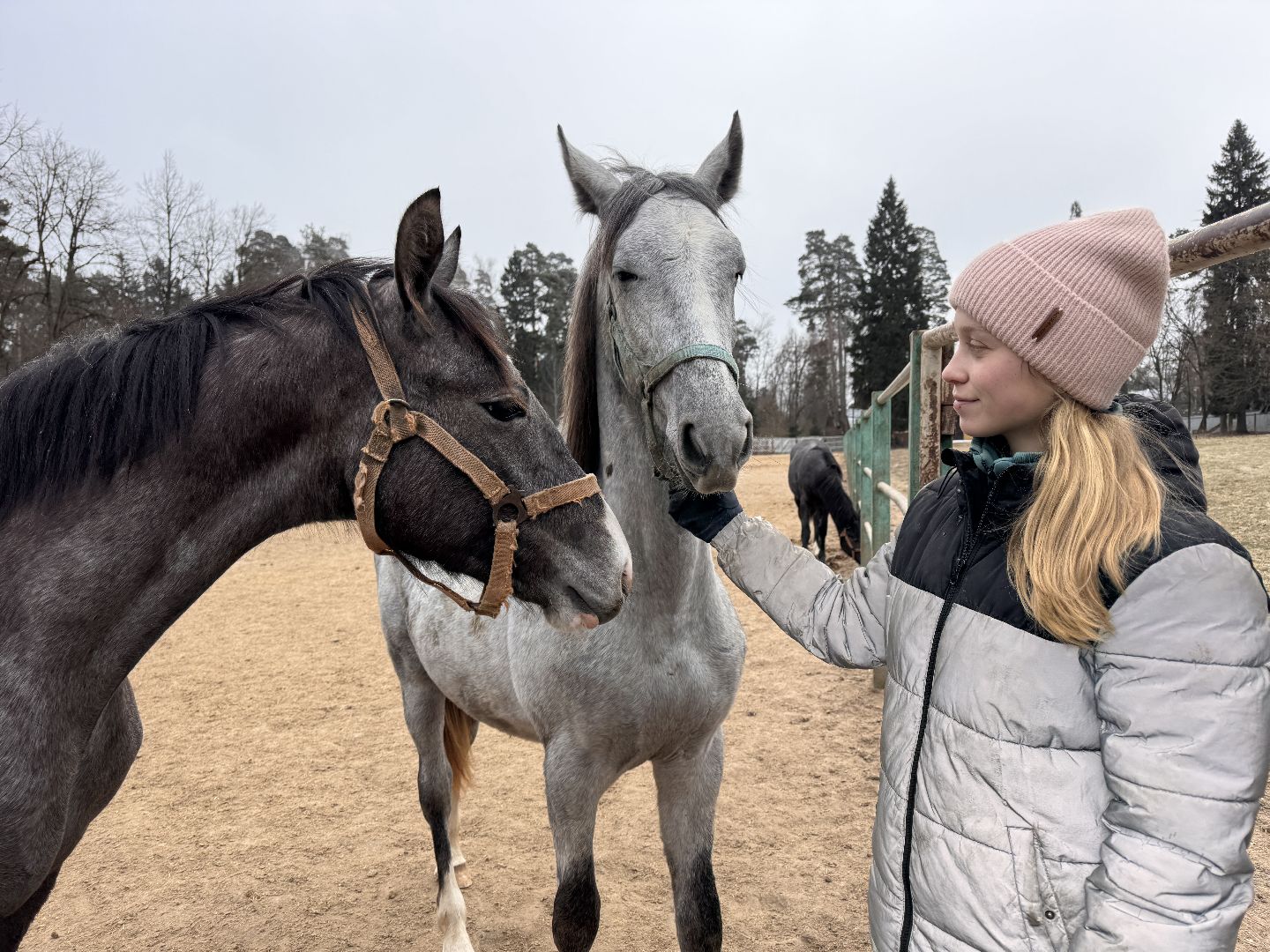 вертикалки, мкз 1, Московский конный завод 1, Одинцовский округ, Первые в стране,