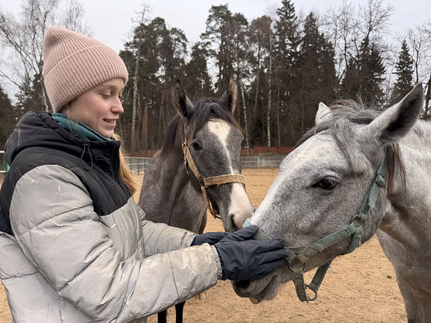 вертикалки, мкз 1, Московский конный завод 1, Одинцовский округ, Первые в стране,