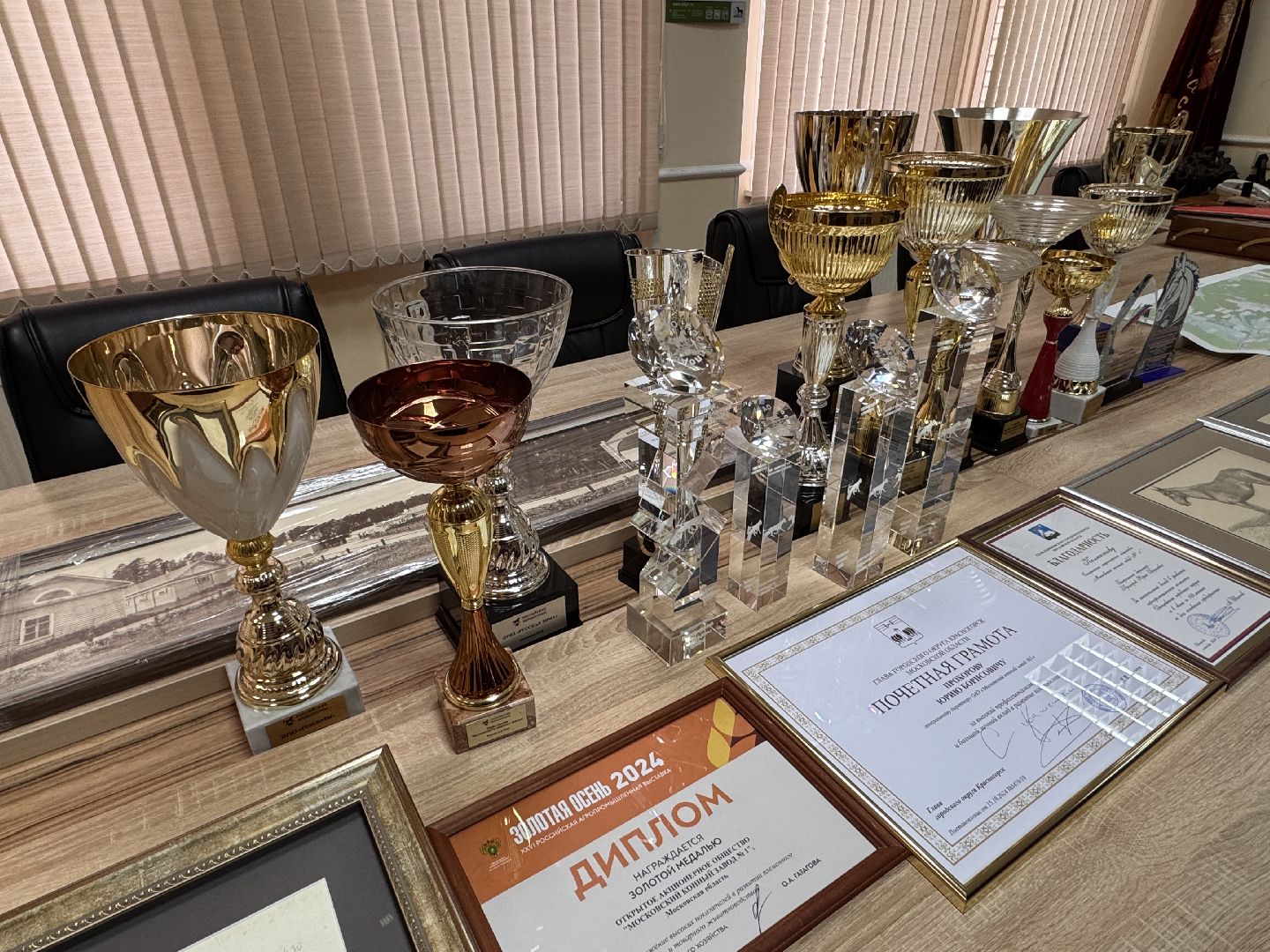 вертикалки, мкз 1, Московский конный завод 1, Одинцовский округ, Первые в стране,