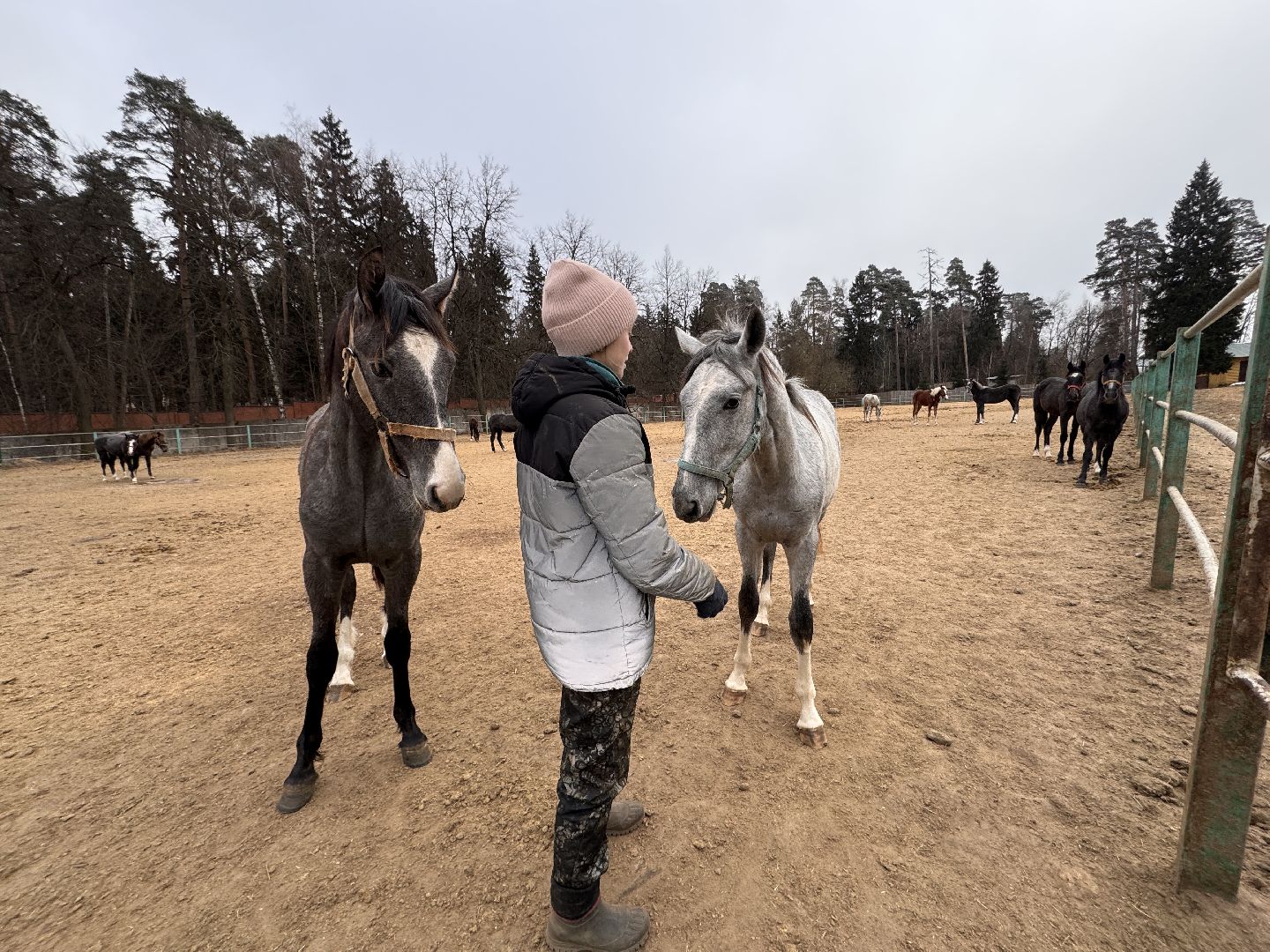 вертикалки, мкз 1, Московский конный завод 1, Одинцовский округ, Первые в стране,