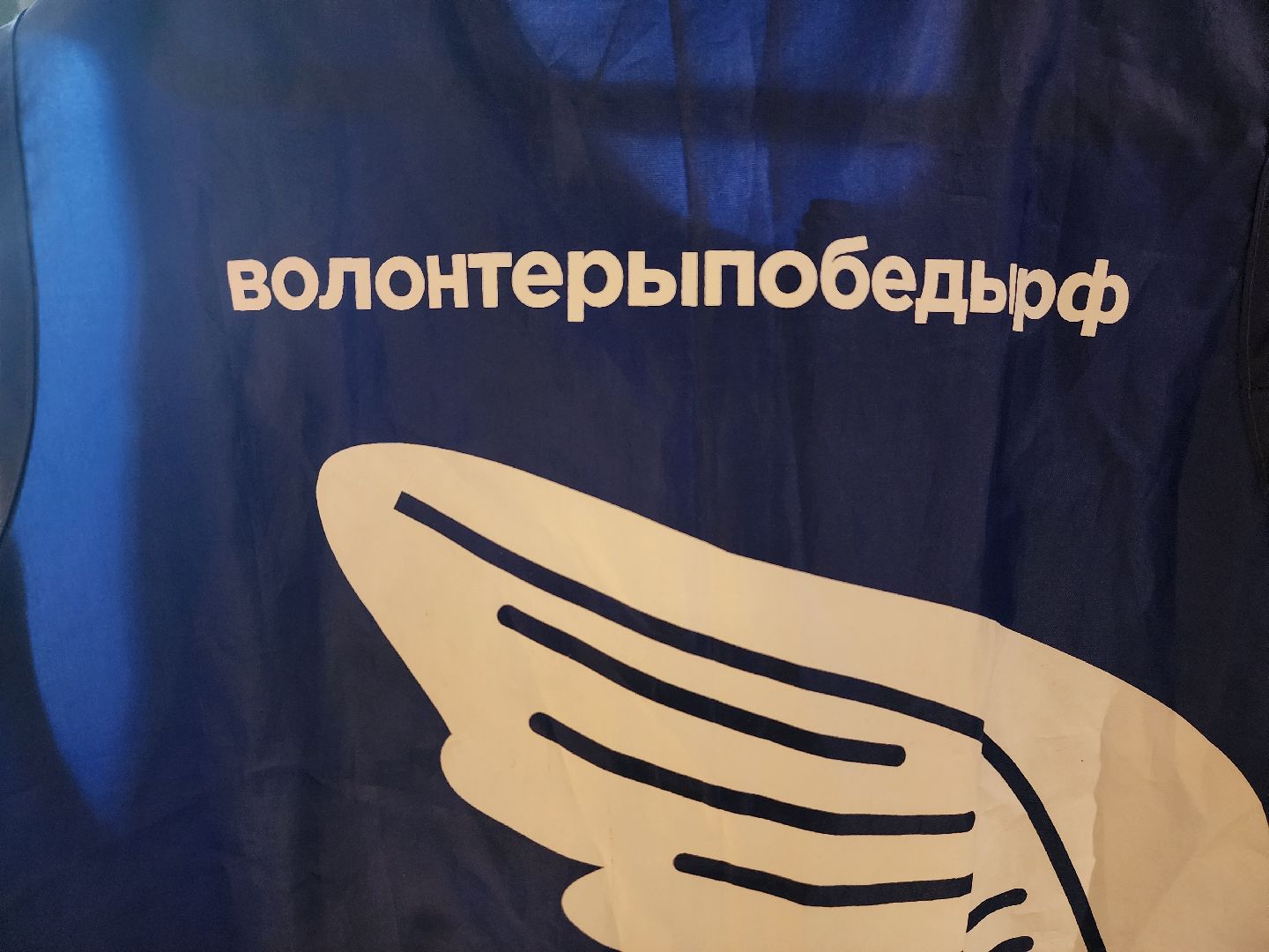 пушкино, память, волонтёры, великая отечественная война,