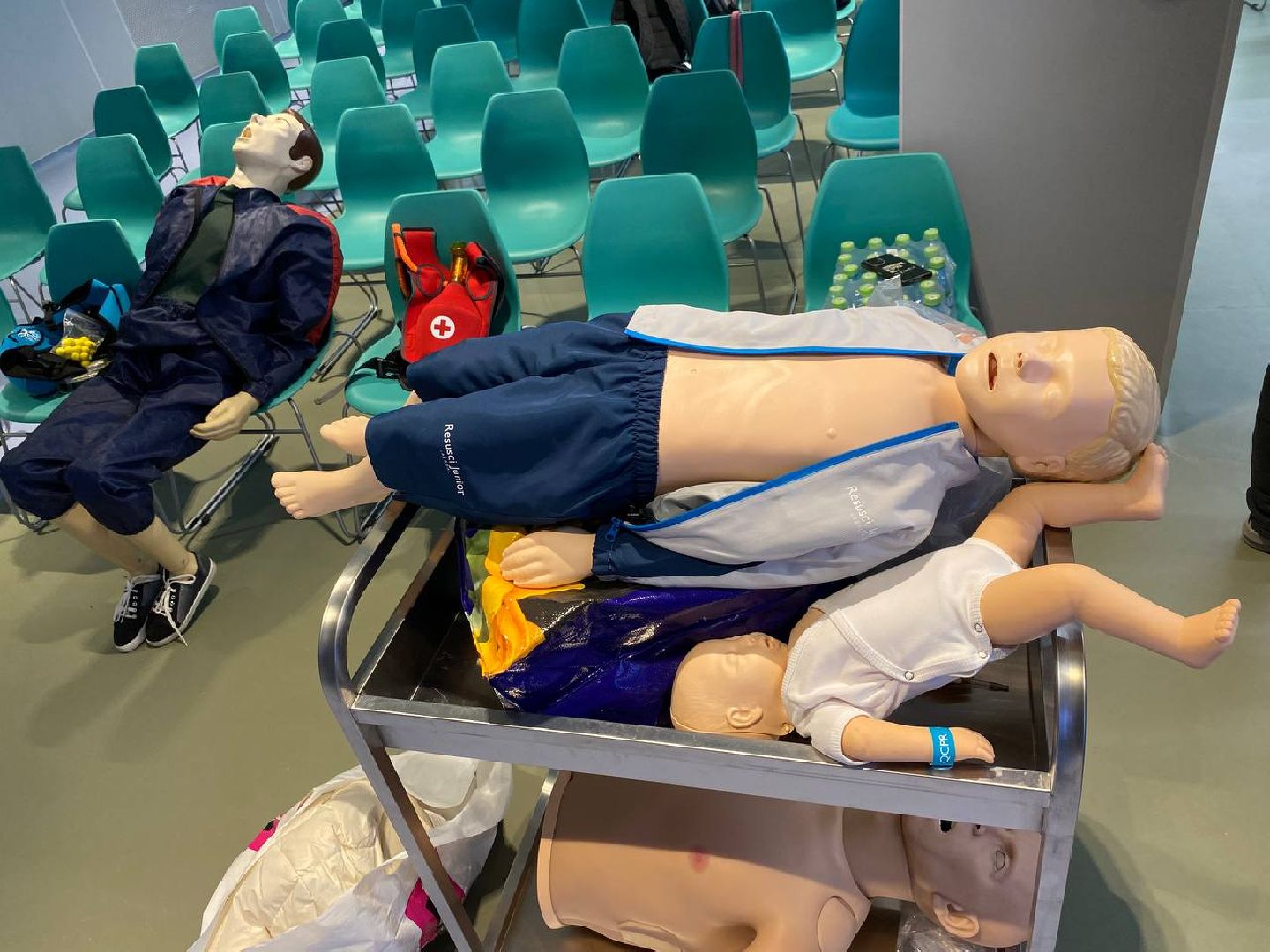 вертикалки, дмитрийхубезов, детскийцентррошаля, мастеркласспервойпомощи, министрздравохраненияреспубликиалтай,