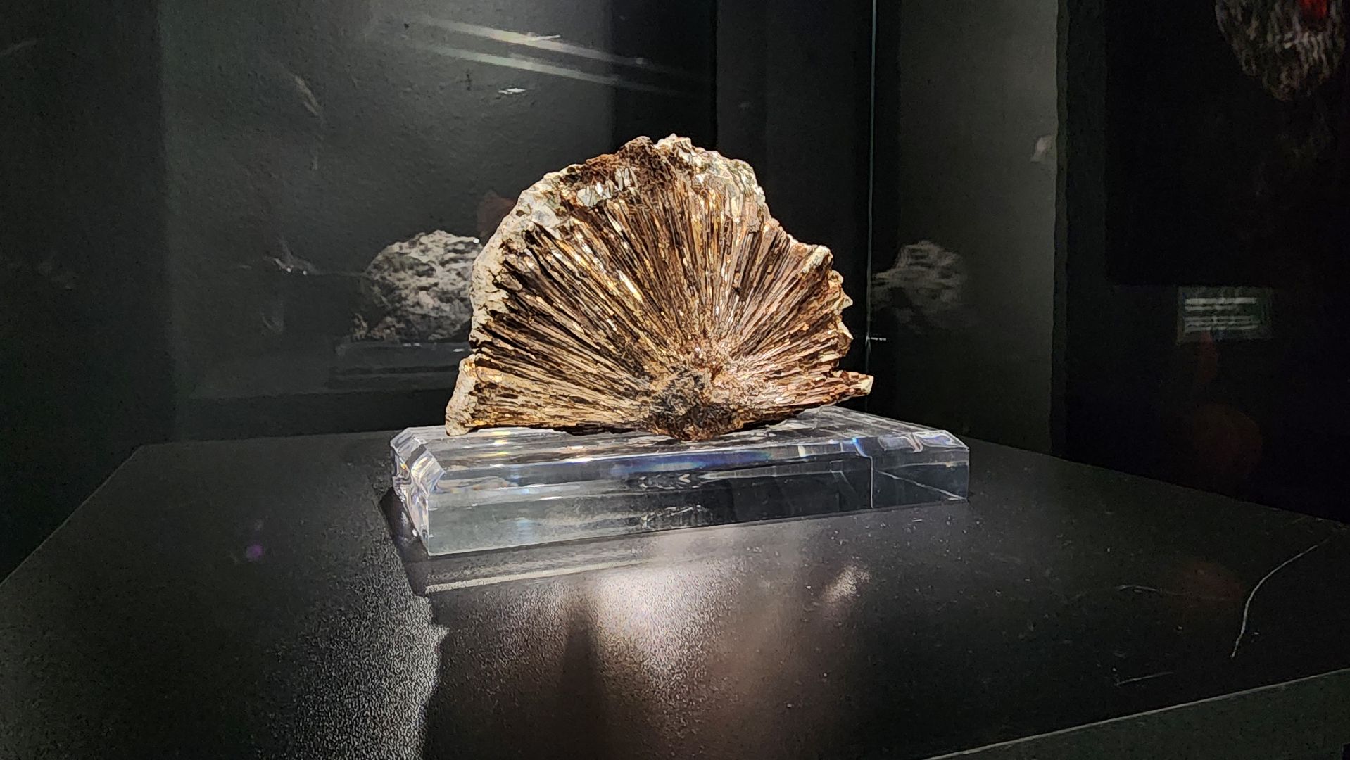 ступино, образование, культура,