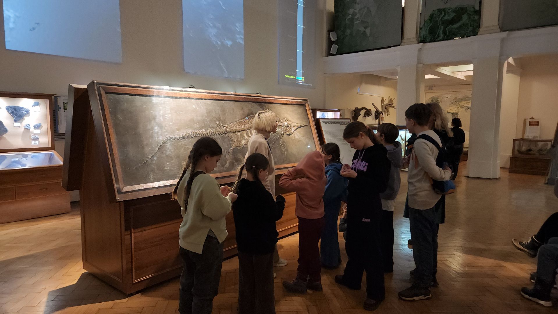 ступино, образование, культура,