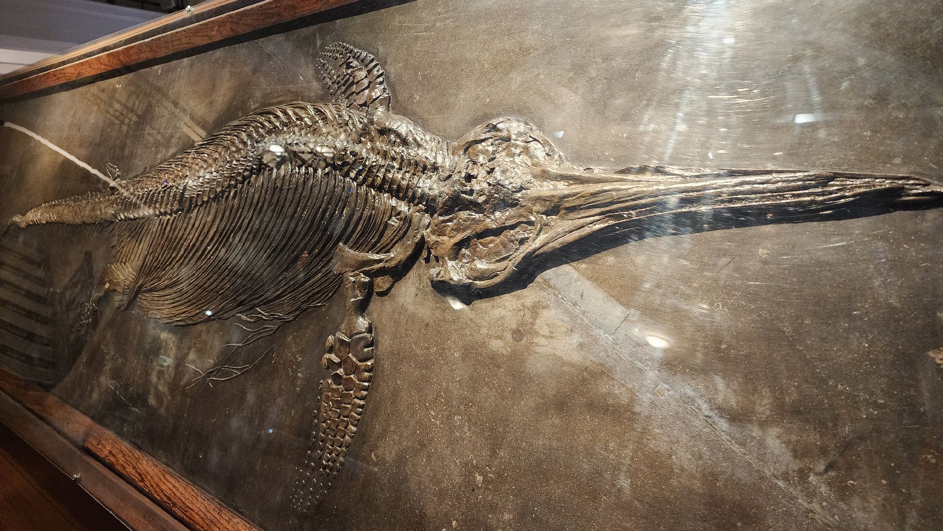 ступино, образование, культура,