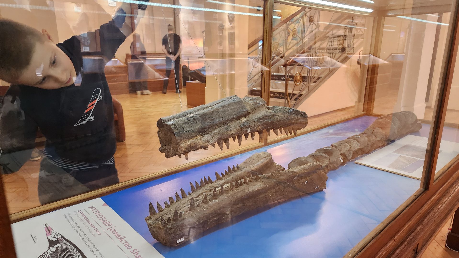 ступино, образование, культура,