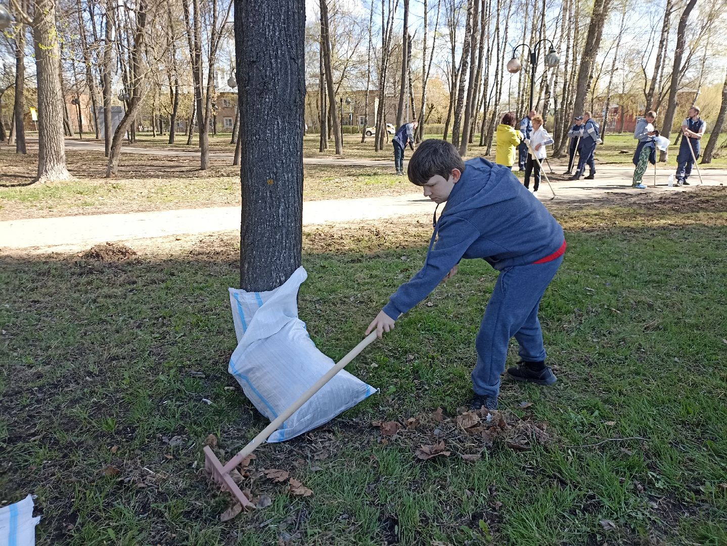 Серпухов, Подмосковье, уборка, субботник, парк