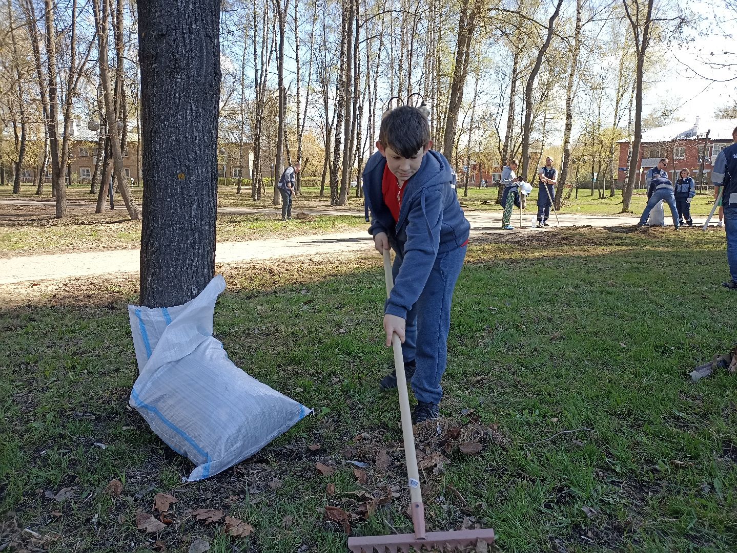 Серпухов, Подмосковье, уборка, субботник, парк