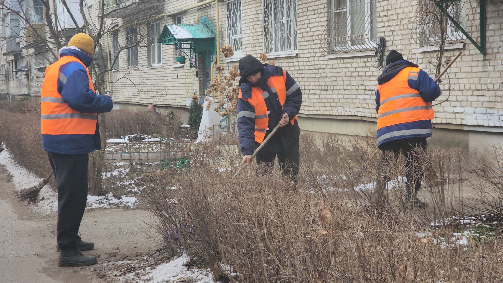 вертикалки, пушкино, уборка двора, коммунальное предприятие, урны для мусора,