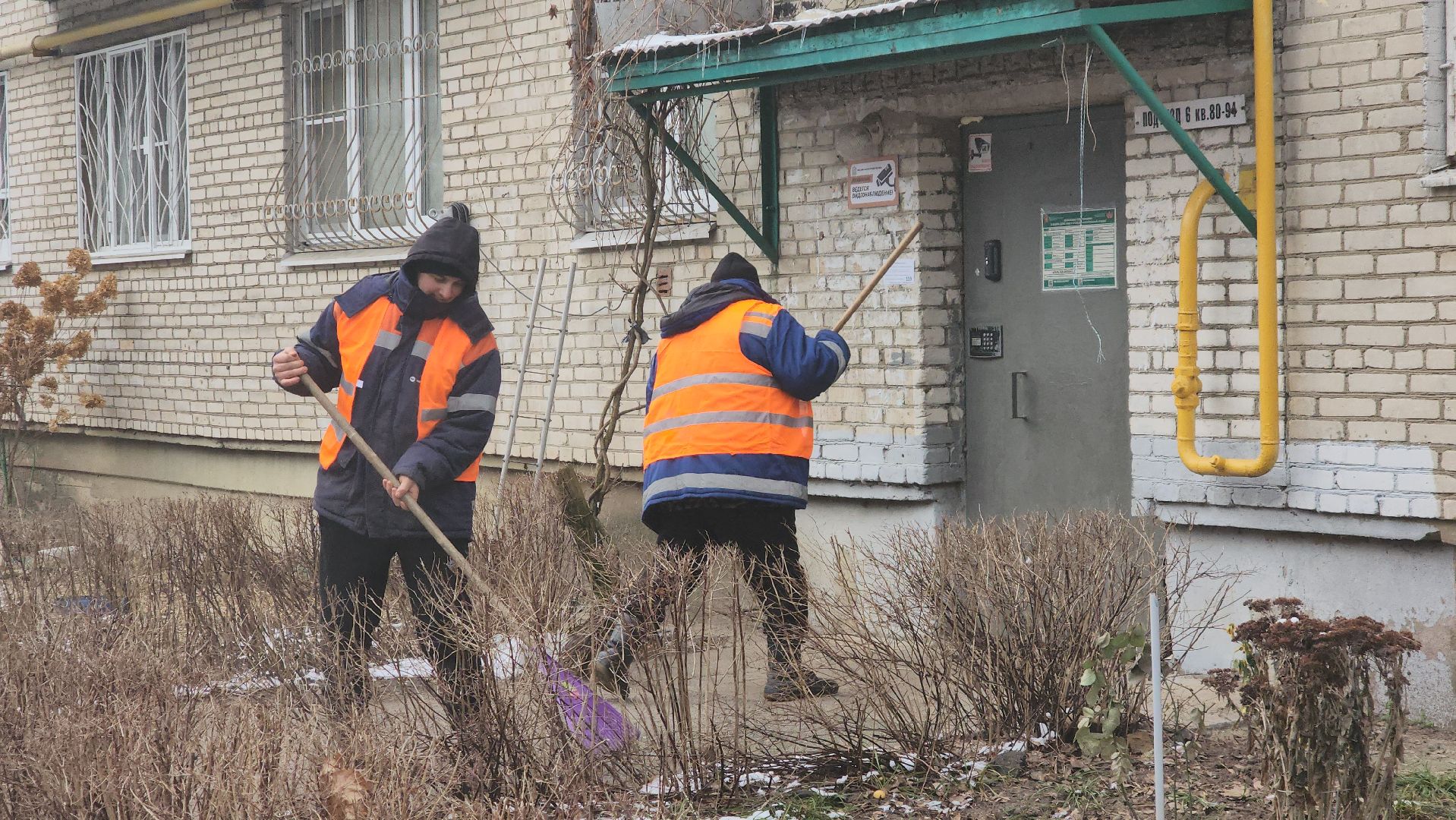 вертикалки, пушкино, уборка двора, коммунальное предприятие, урны для мусора,