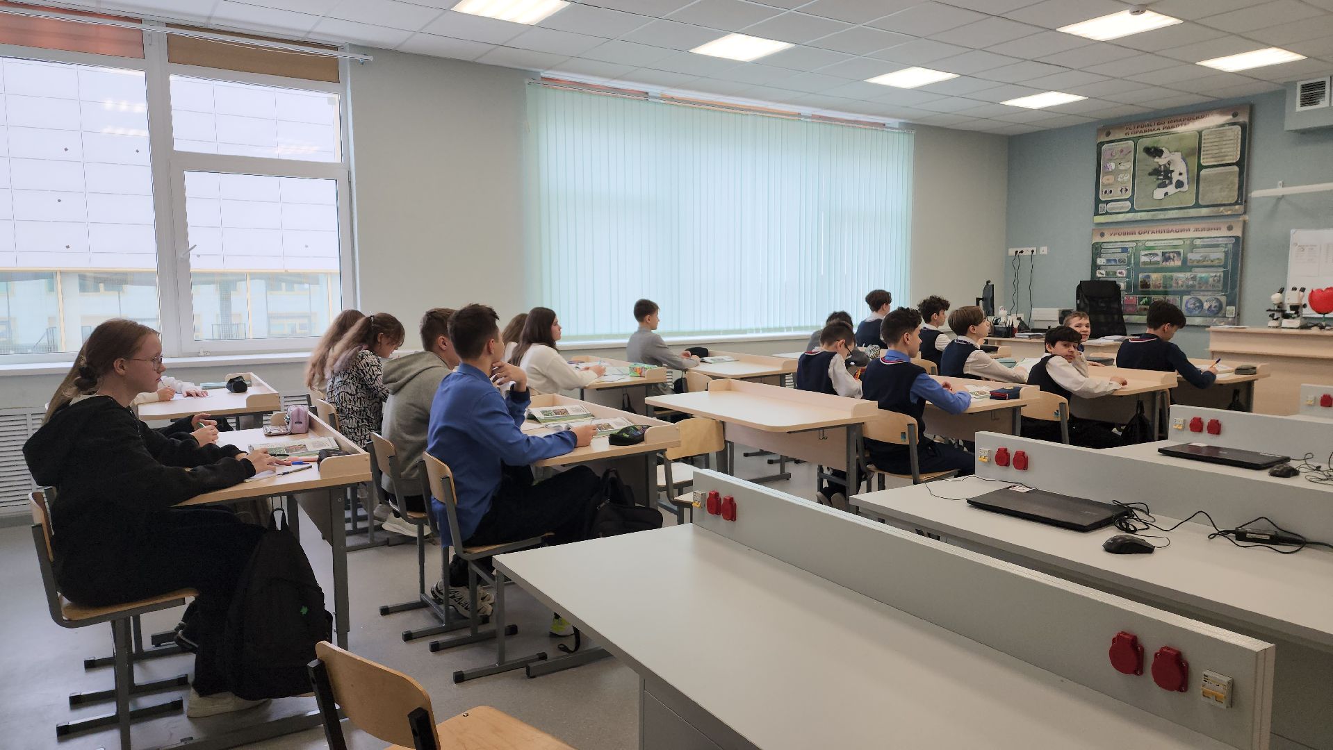 пушкино, заветы ильича, новая школа, школа 2, агроклассы, инновации, профильные предметы,профориентация,современная школа,начальная школа,