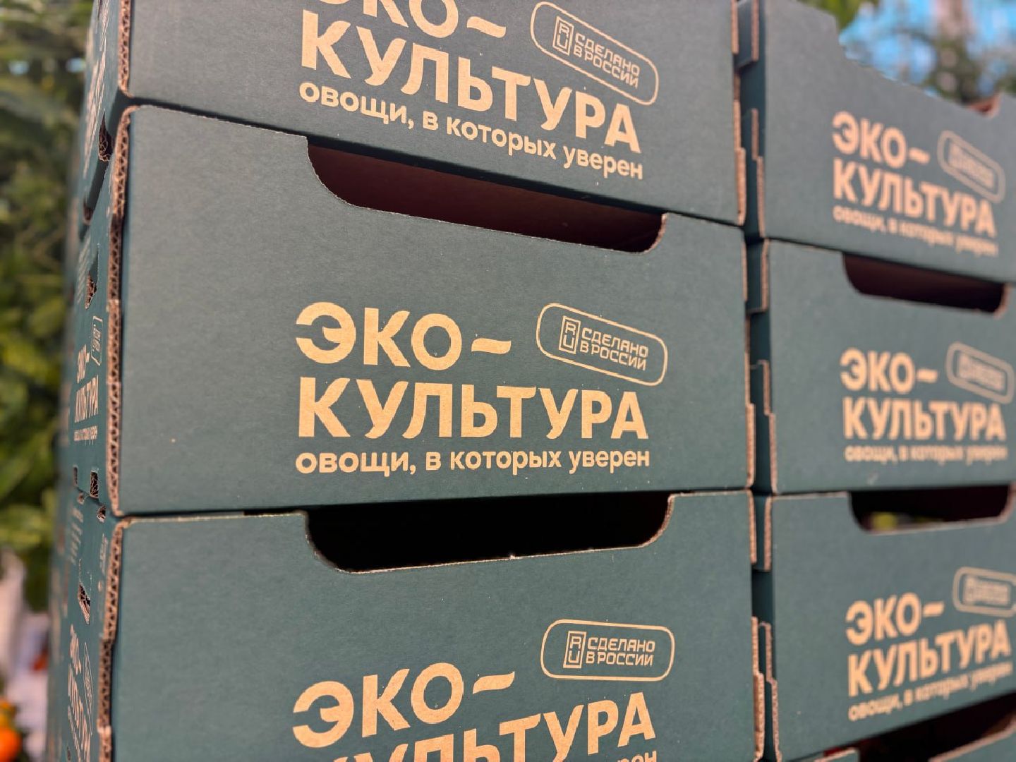 воскресенск, экономика, овощи,