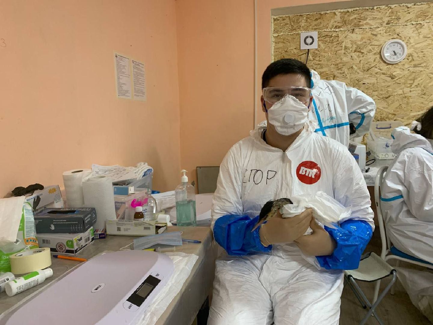 мгер, волонтеры, добровольцы, мо, домодедово, подмосковье, экогология, анапа, черное море, побережье, мазут, разлив топлива,