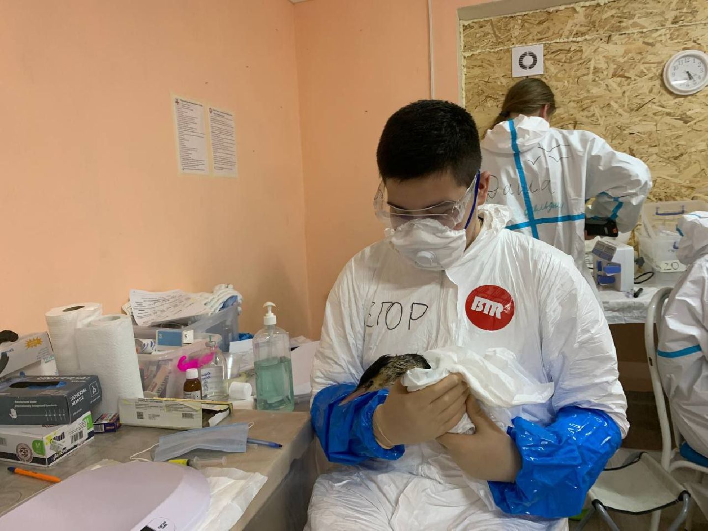 мгер, волонтеры, добровольцы, мо, домодедово, подмосковье, экогология, анапа, черное море, побережье, мазут, разлив топлива,