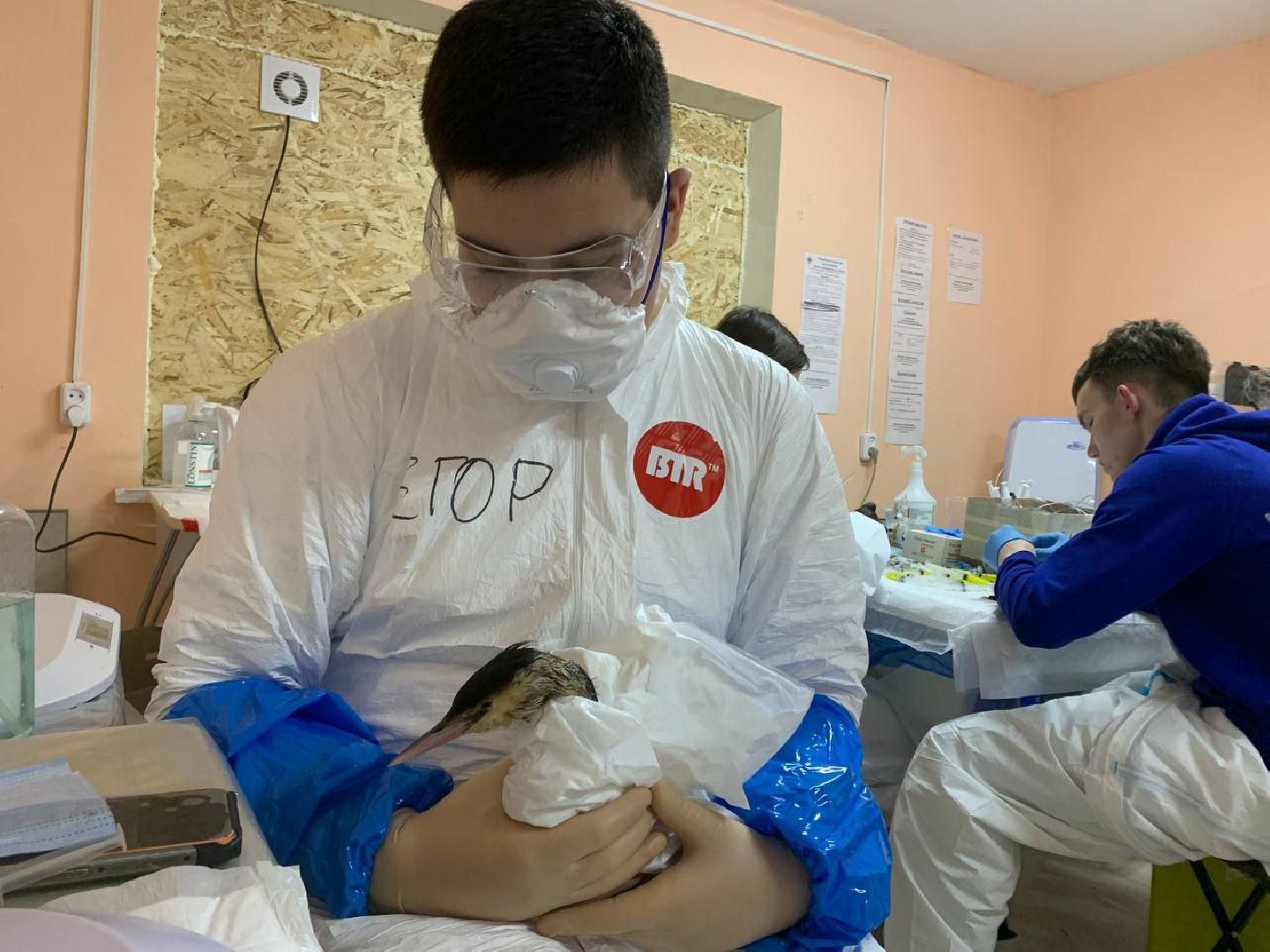 мгер, волонтеры, добровольцы, мо, домодедово, подмосковье, экогология, анапа, черное море, побережье, мазут, разлив топлива,