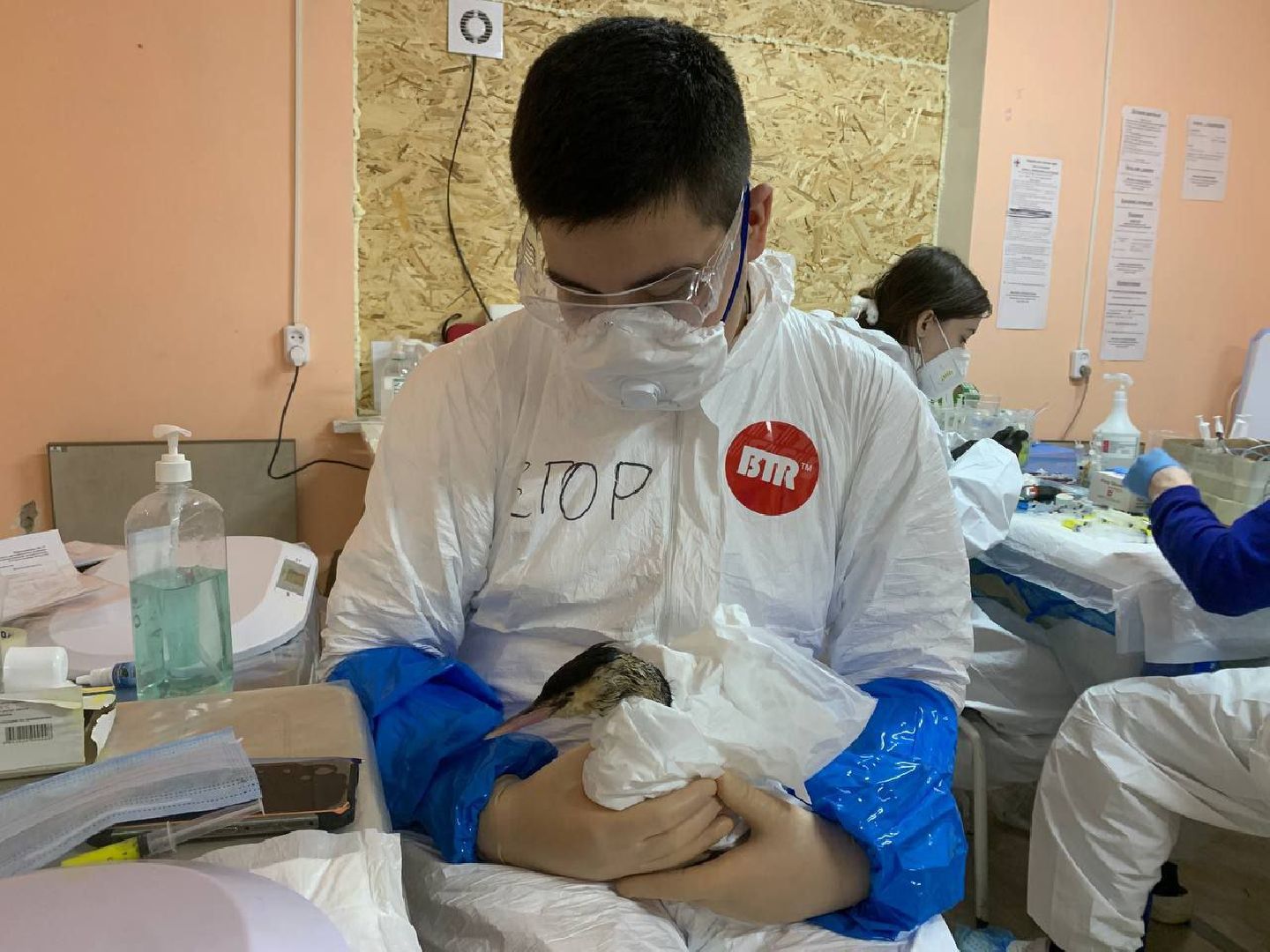 мгер, волонтеры, добровольцы, мо, домодедово, подмосковье, экогология, анапа, черное море, побережье, мазут, разлив топлива,