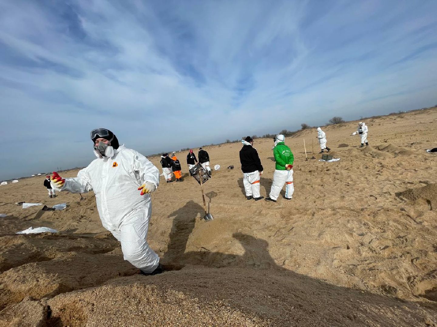 волонтры, анапа, лобня, вертикалки