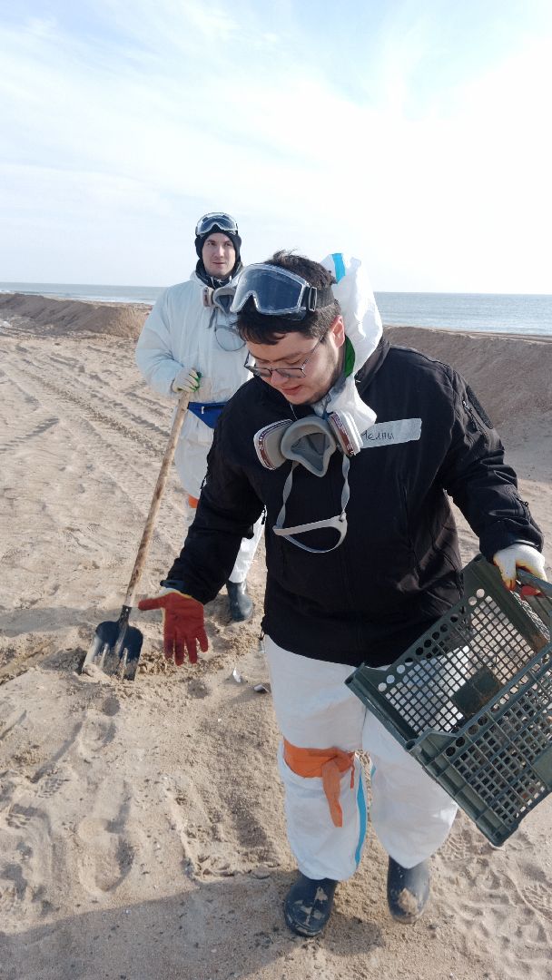 волонтры, анапа, лобня, вертикалки