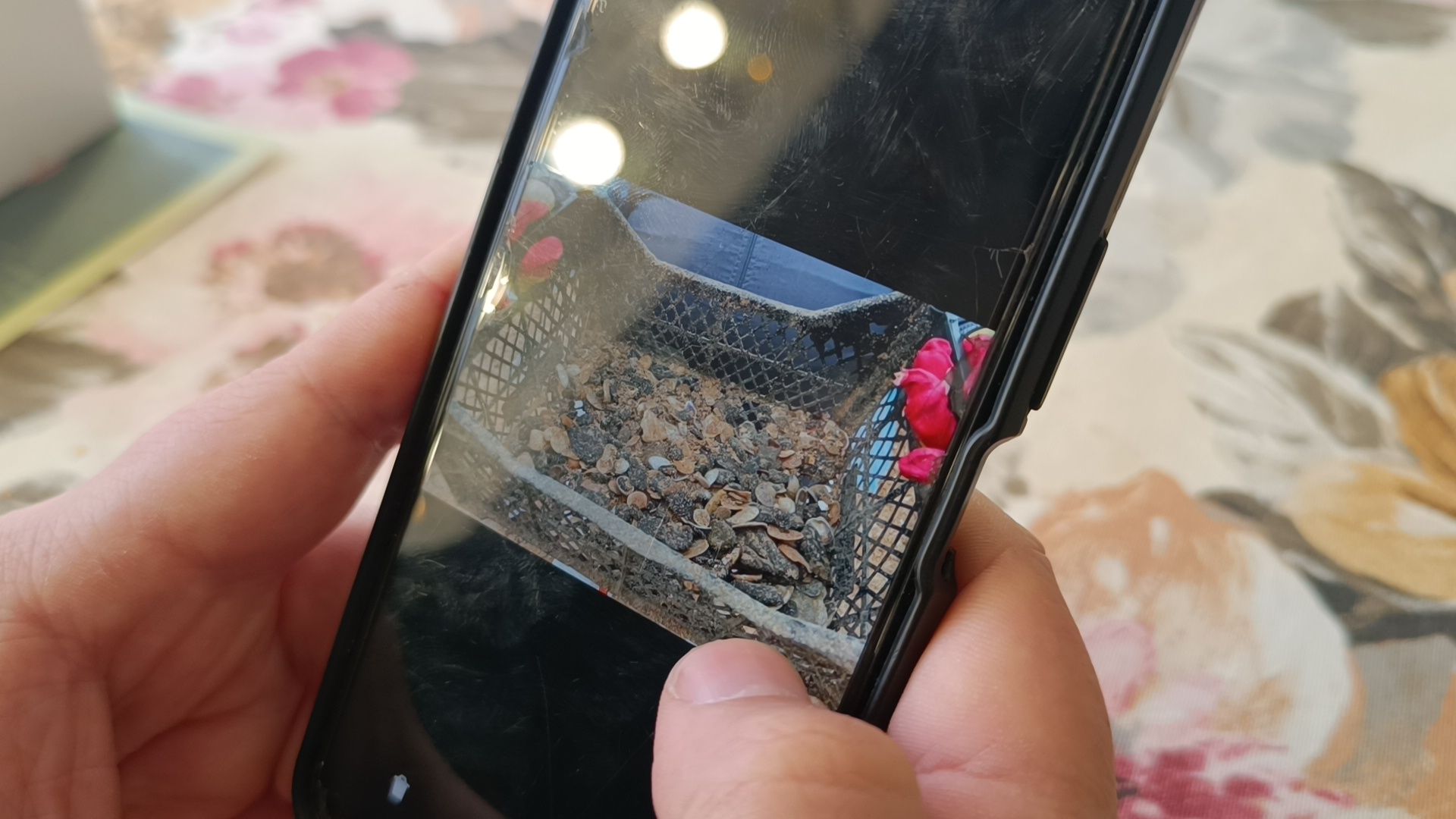 волонтры, анапа, лобня, вертикалки