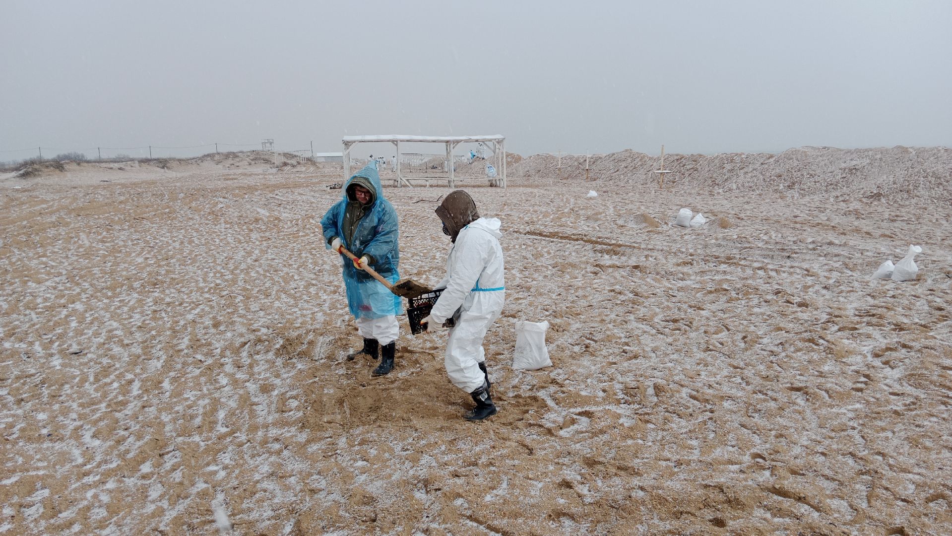 волонтры, анапа, лобня, вертикалки