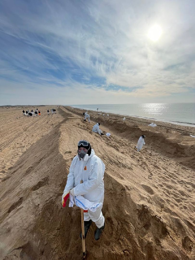 волонтры, анапа, лобня, вертикалки