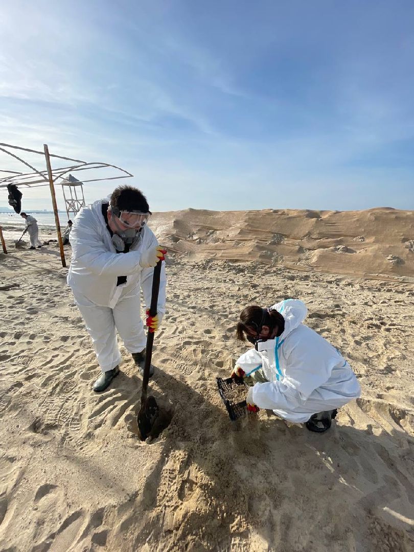 волонтры, анапа, лобня, вертикалки