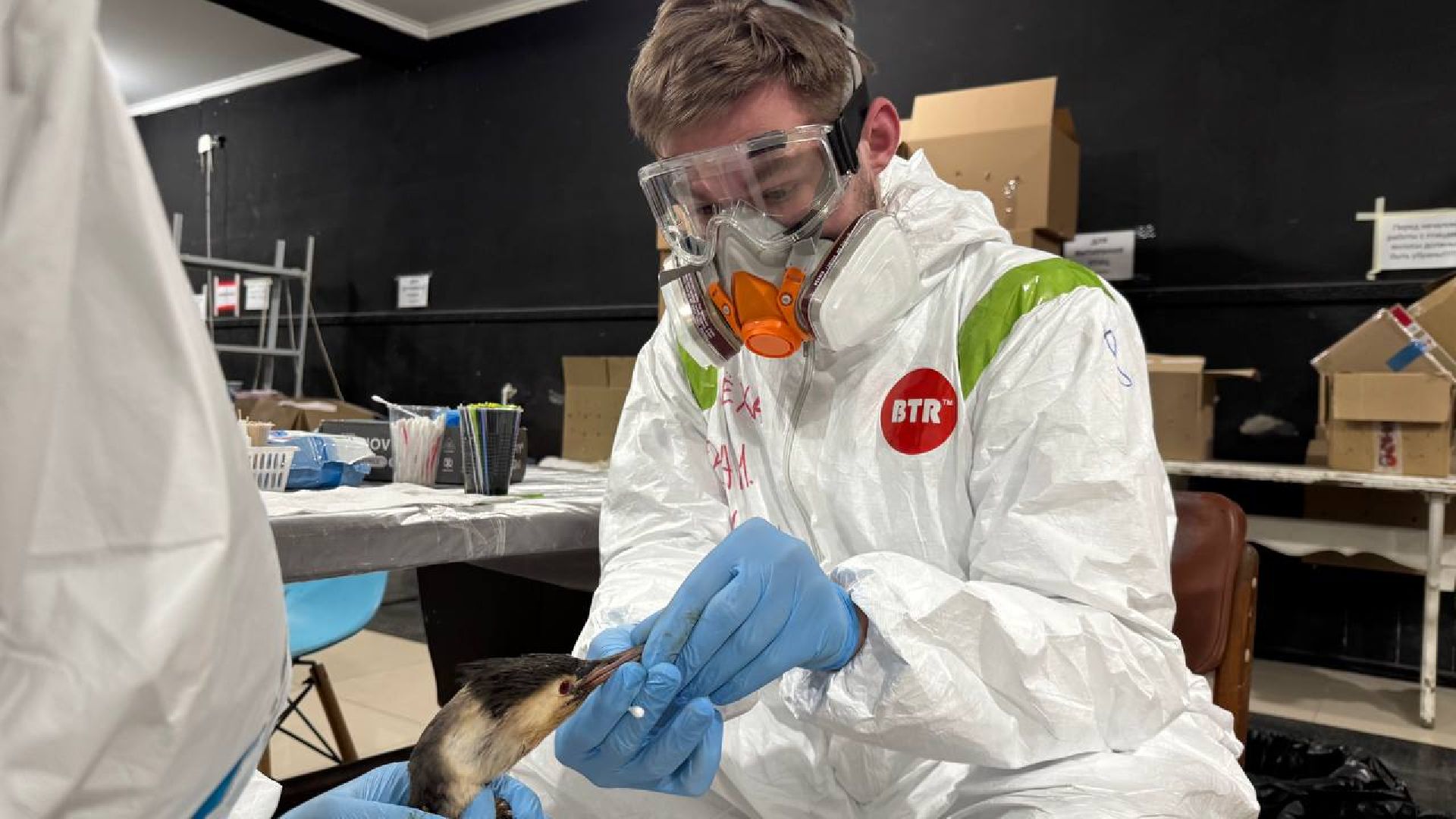 вертикалки, волонтеры подмосковья помогают в анапе, Волонтеры из Бронниц в Анапе,