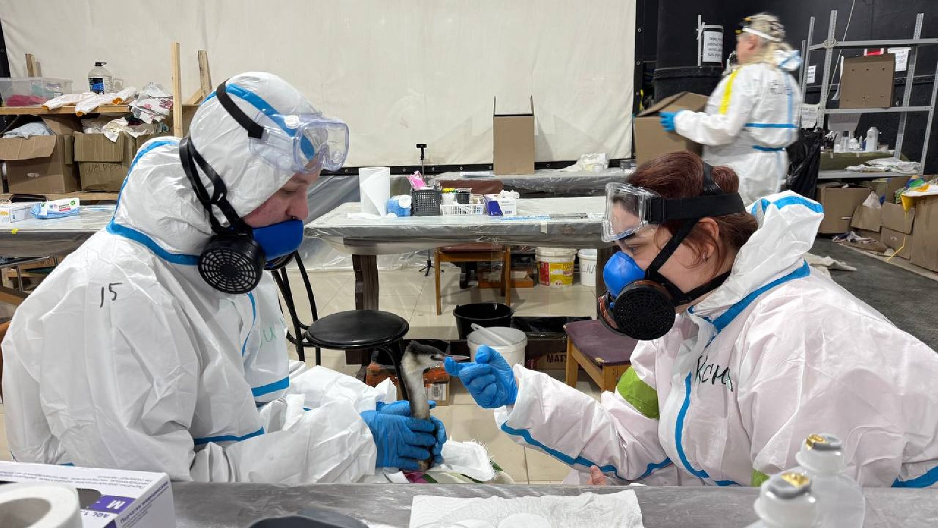 вертикалки, волонтеры подмосковья помогают в анапе, Волонтеры из Бронниц в Анапе,